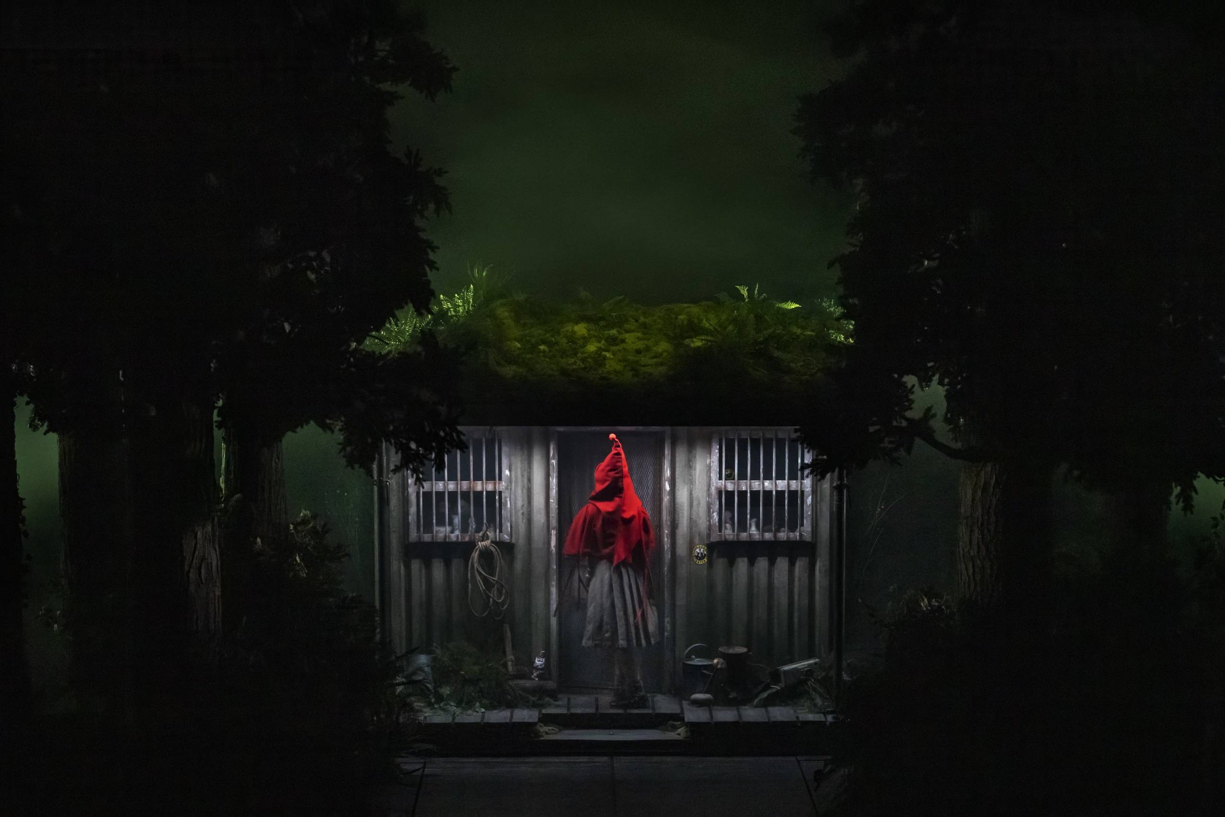 Into The Woods (The Bridge)