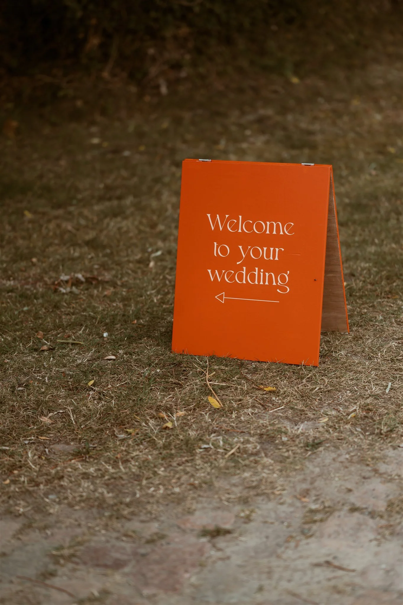 Laura&Michiel_ByMomentum-1 (2).jpg