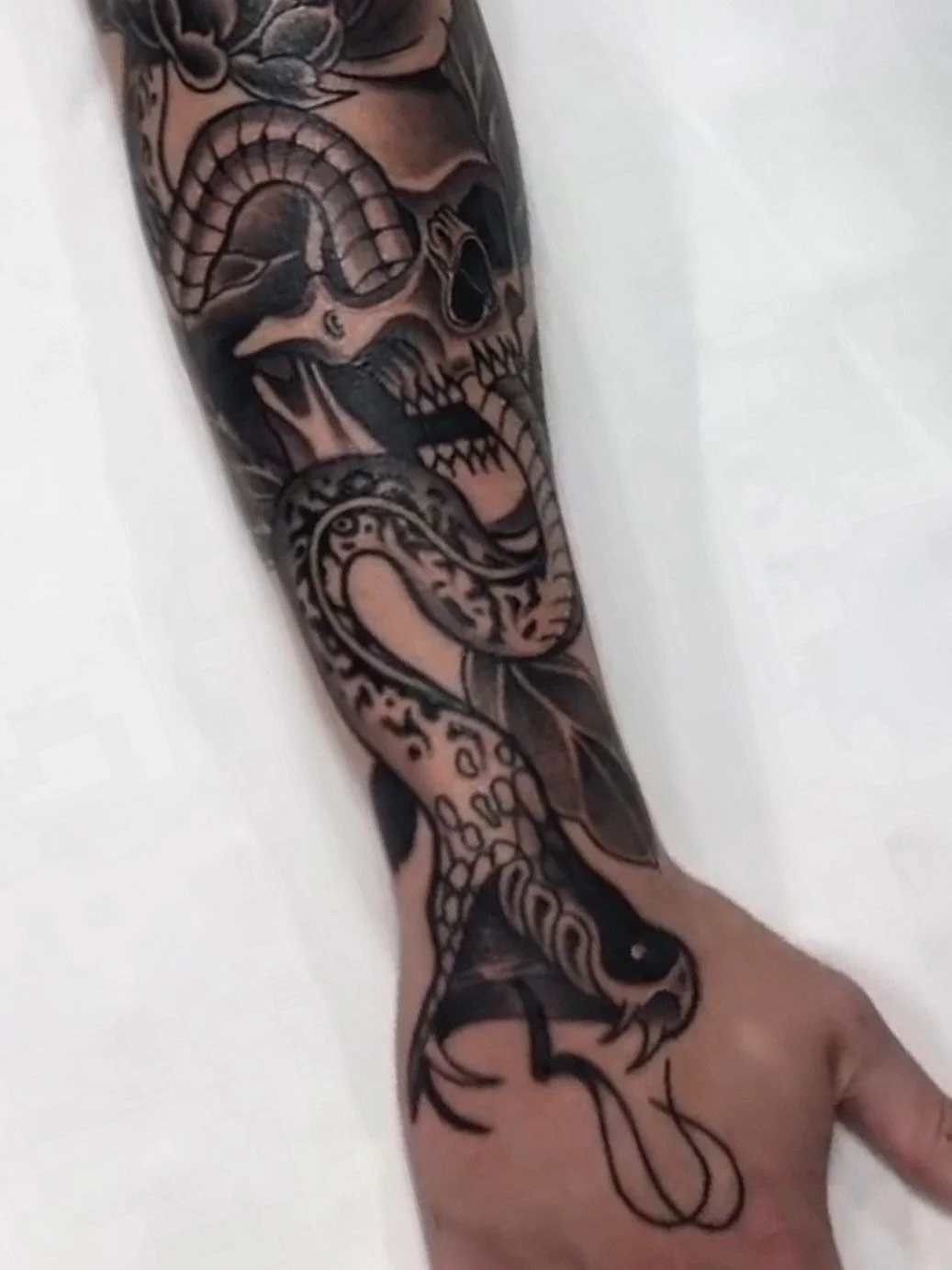 Another classic combo- the snake and the skull by @ballytattoos 
.
Kyle has upcoming availability- message him directly to book your next tattoo 
.
#brighton #brightontattoo #brightontattooartists #snaketattoo #forearmtattoo #skulltattoo