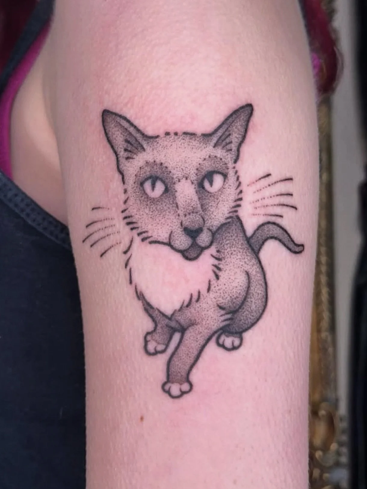 We love a cheeky little creature captured brilliantly by @elphie.quinn 
.
Elphie has started booking January sessions, so get in touch for your next tattoo 
.
#petportrait #pettattoo #cattattoos #handpoked #handpushedtattoo #handpokeartist #brighton 
