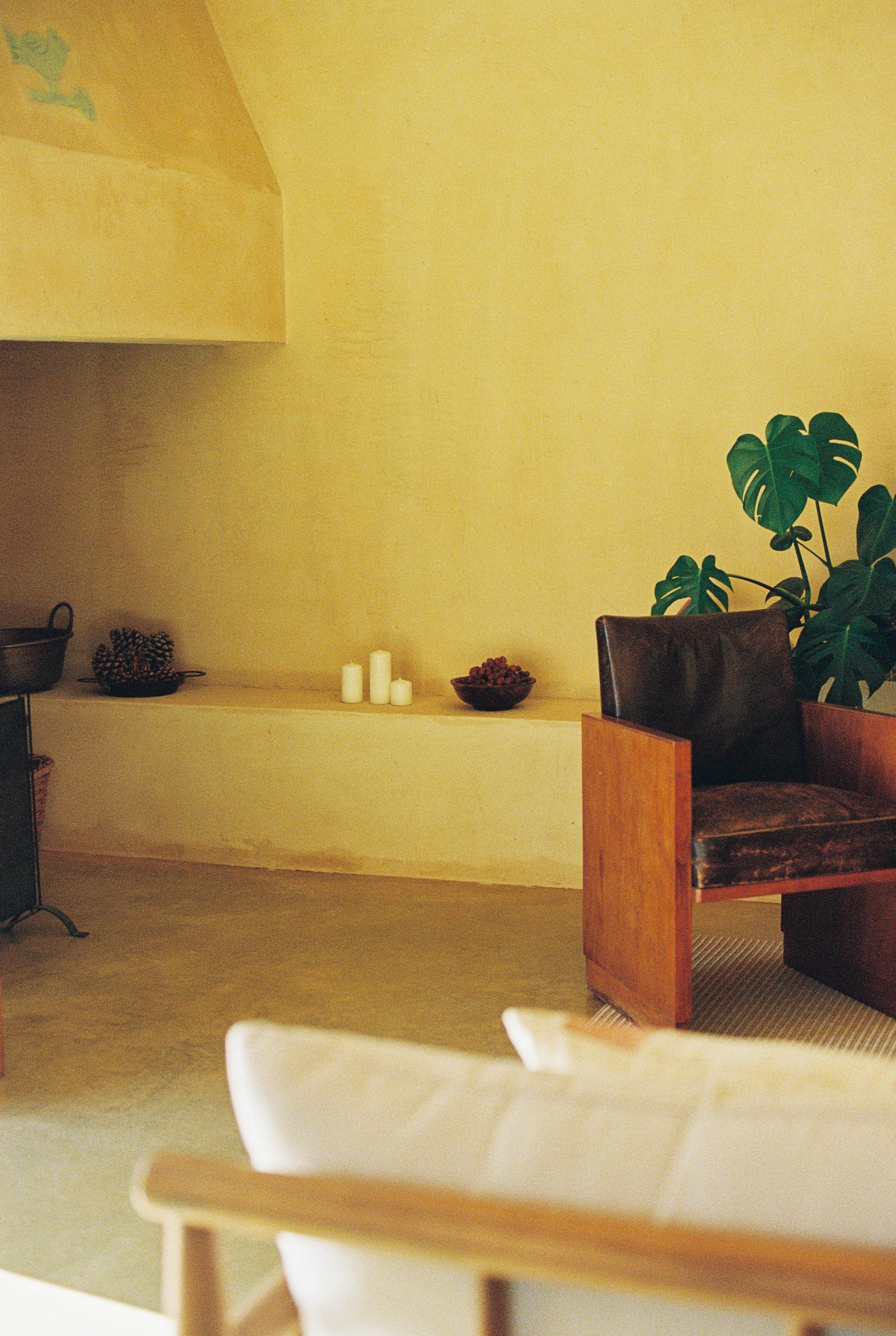 Nastya Dolzhenytsia-58.jpg