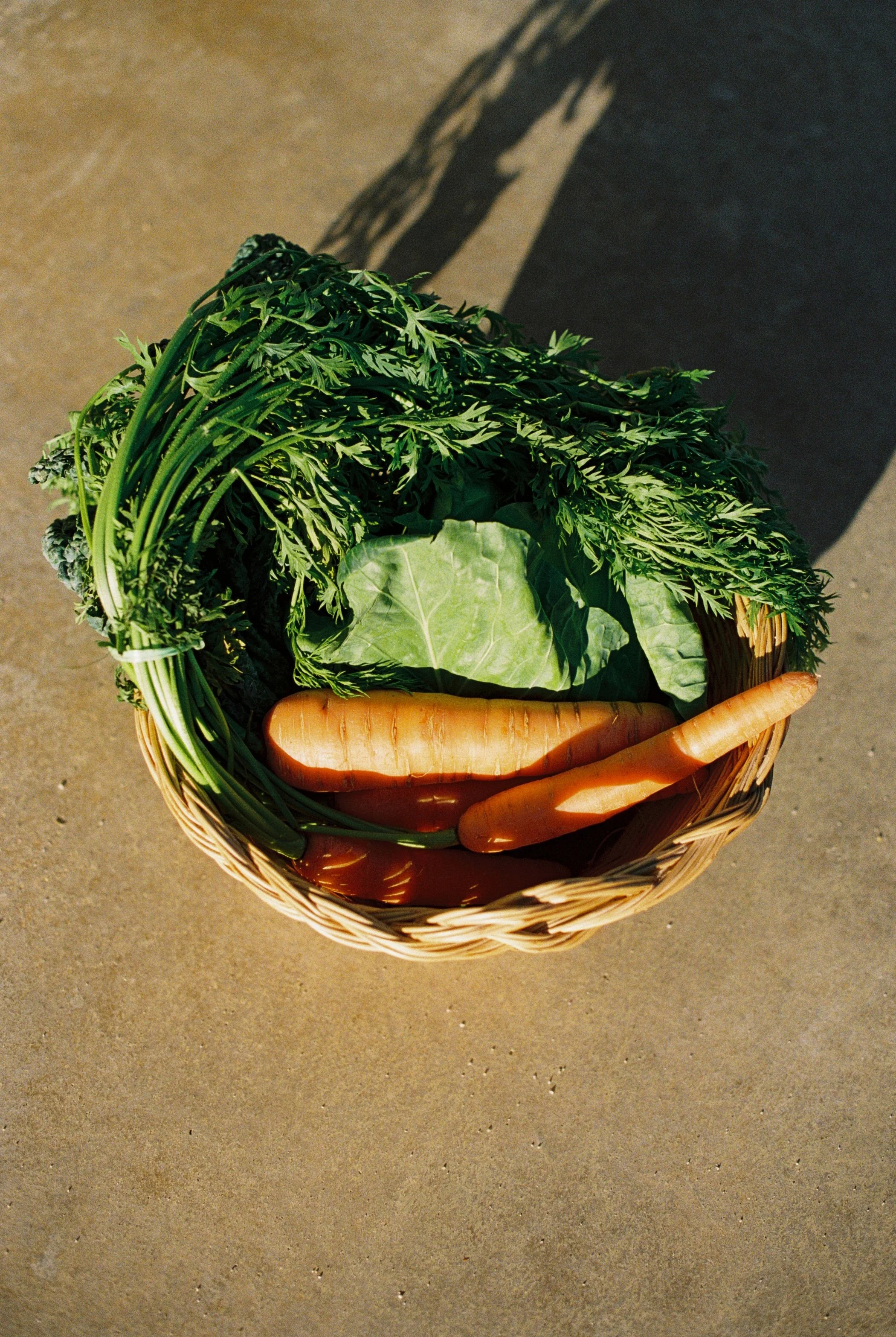 Nastya Dolzhenytsia-70.jpg