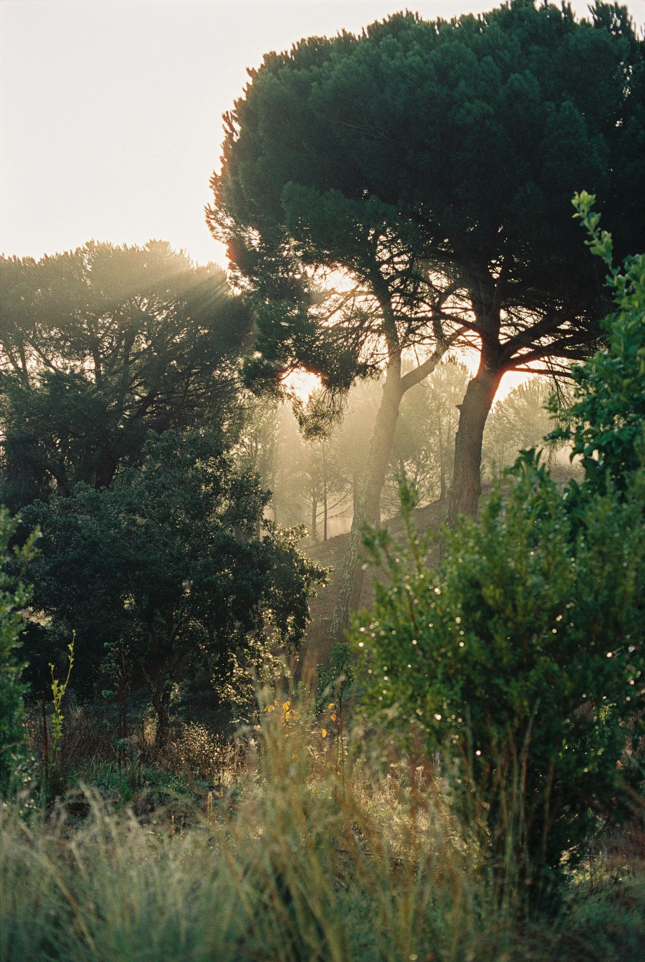 Nastya Dolzhenytsia-41.jpg