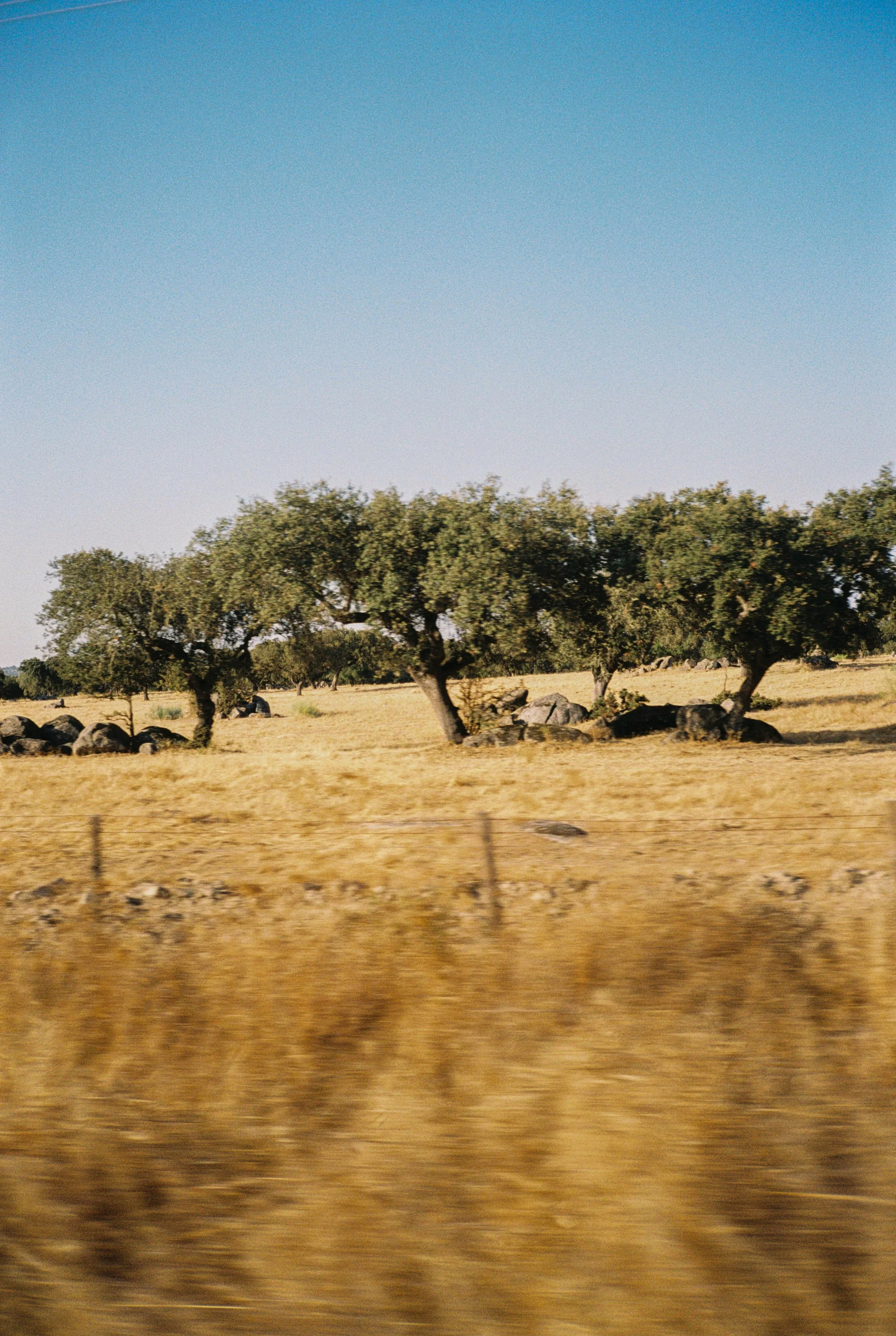 Nastia Dolzhenytsia-99.jpg