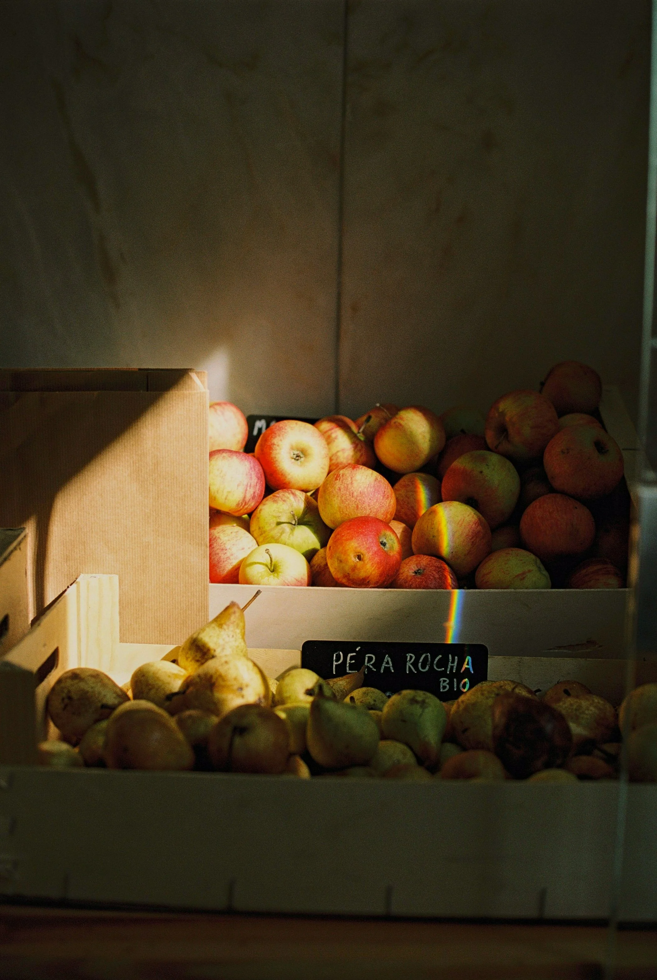 film-4.jpg