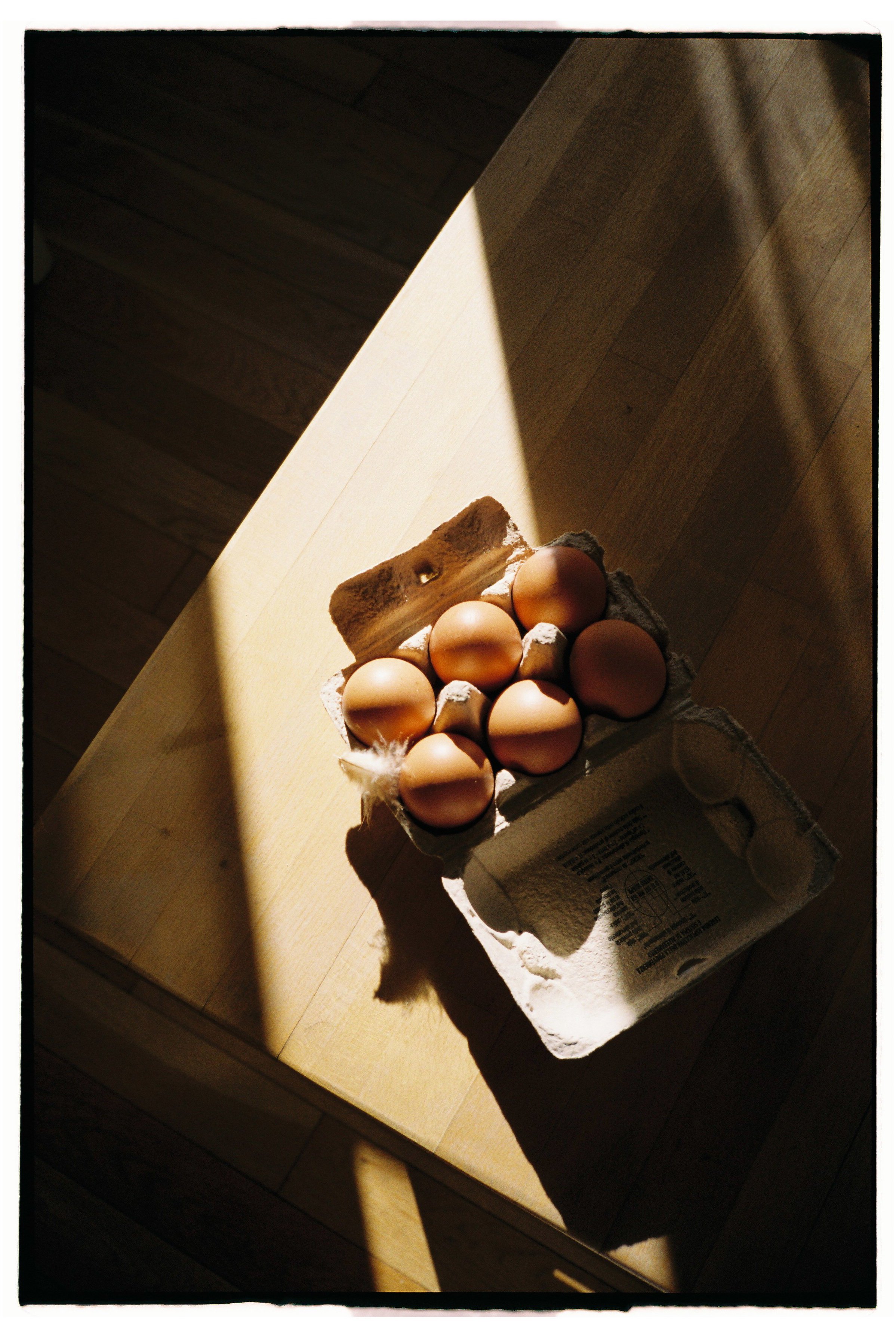 Anastasiia Dolzhenytsia-75.jpg