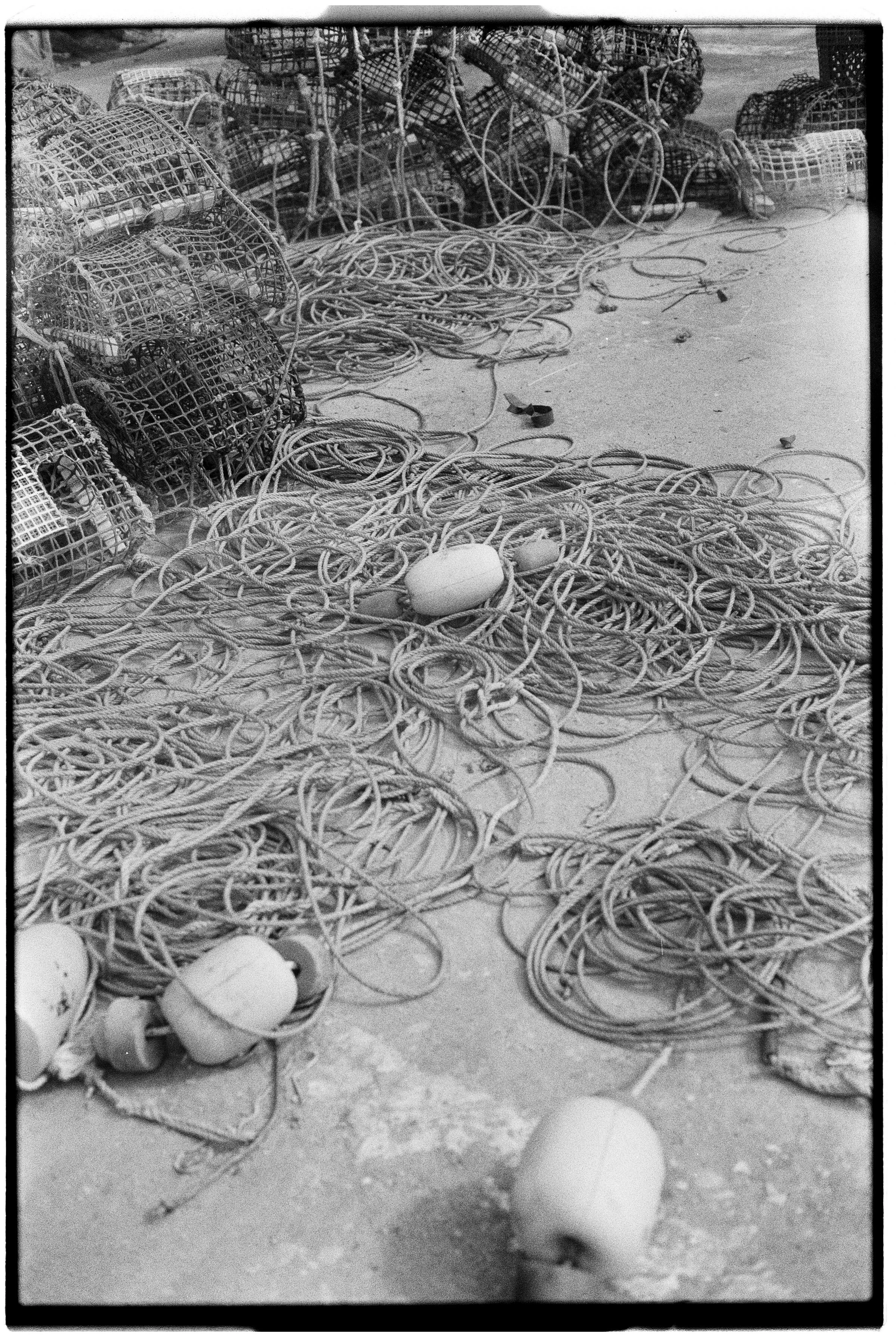 Anastasiia Dolzhenytsia -32.jpg