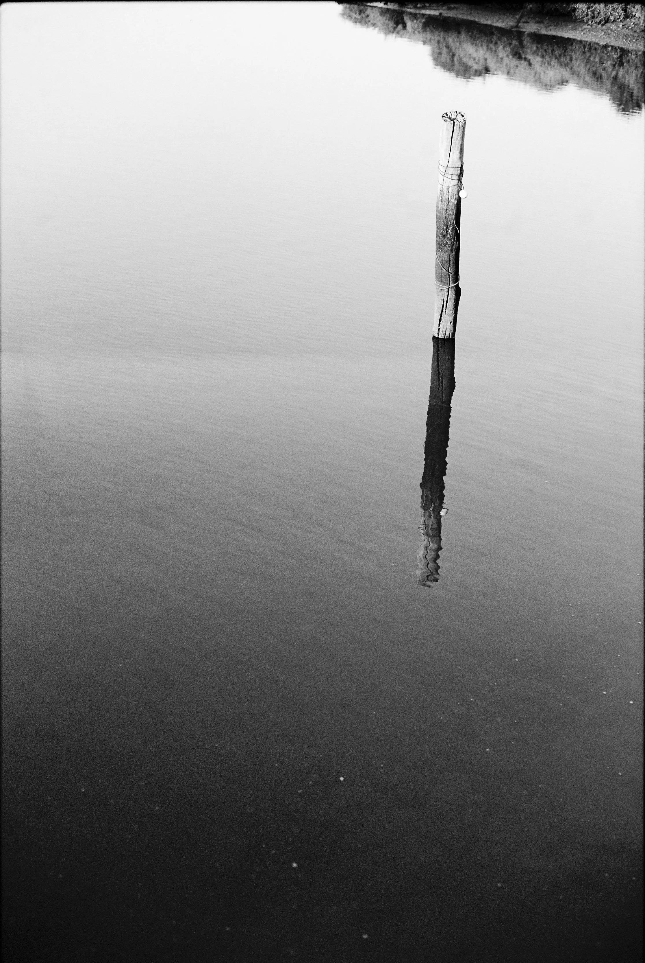 Anastasiia Dolzhenytsia-19.jpg