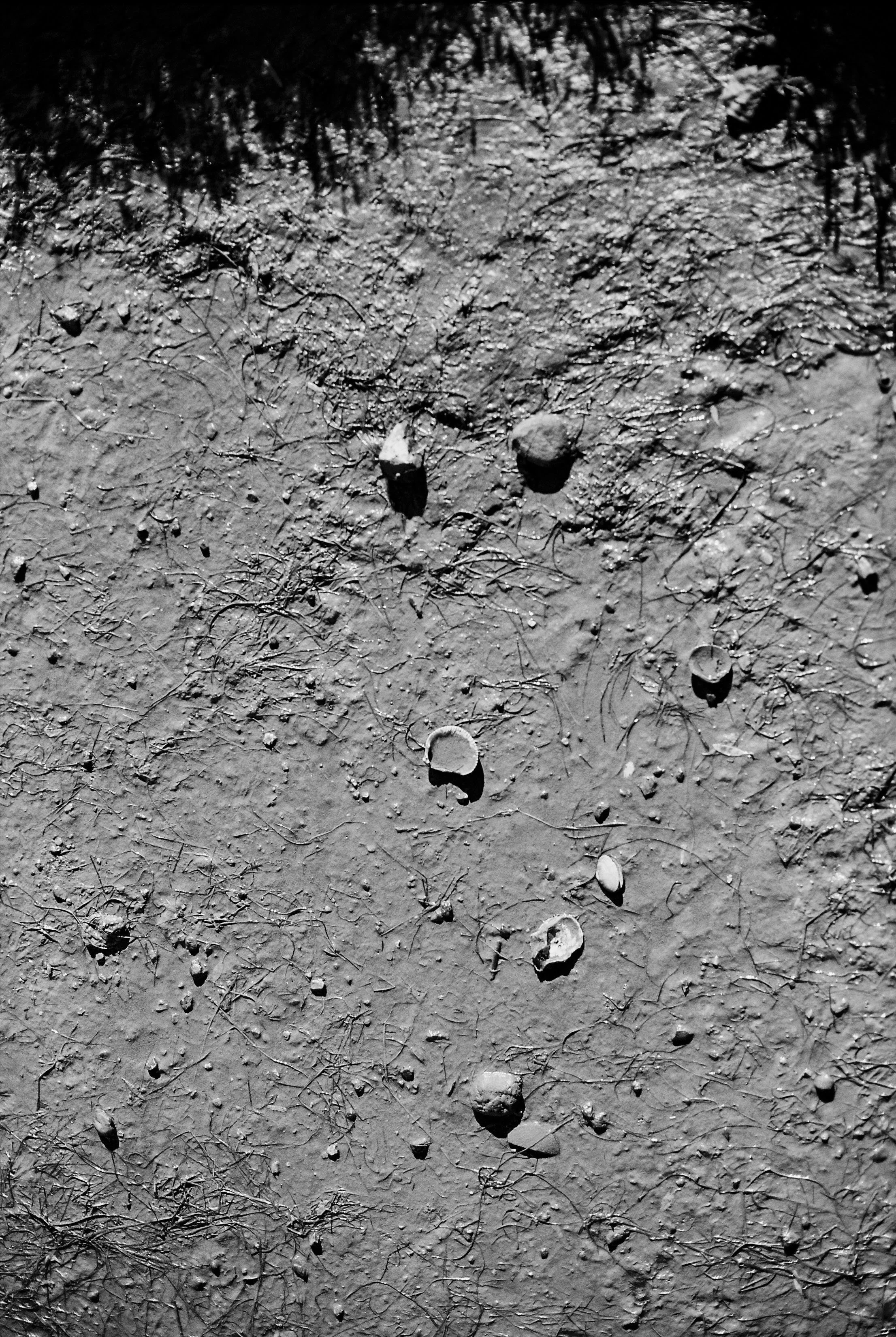 Anastasiia Dolzhenytsia-3.jpg