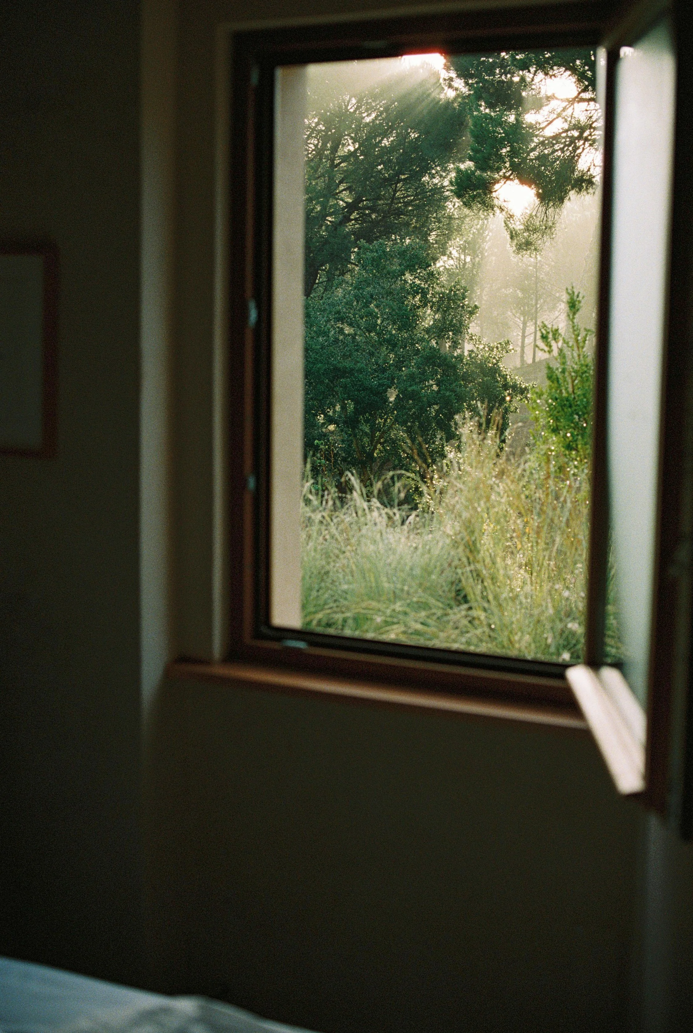 Nastya Dolzhenytsia-45.jpg