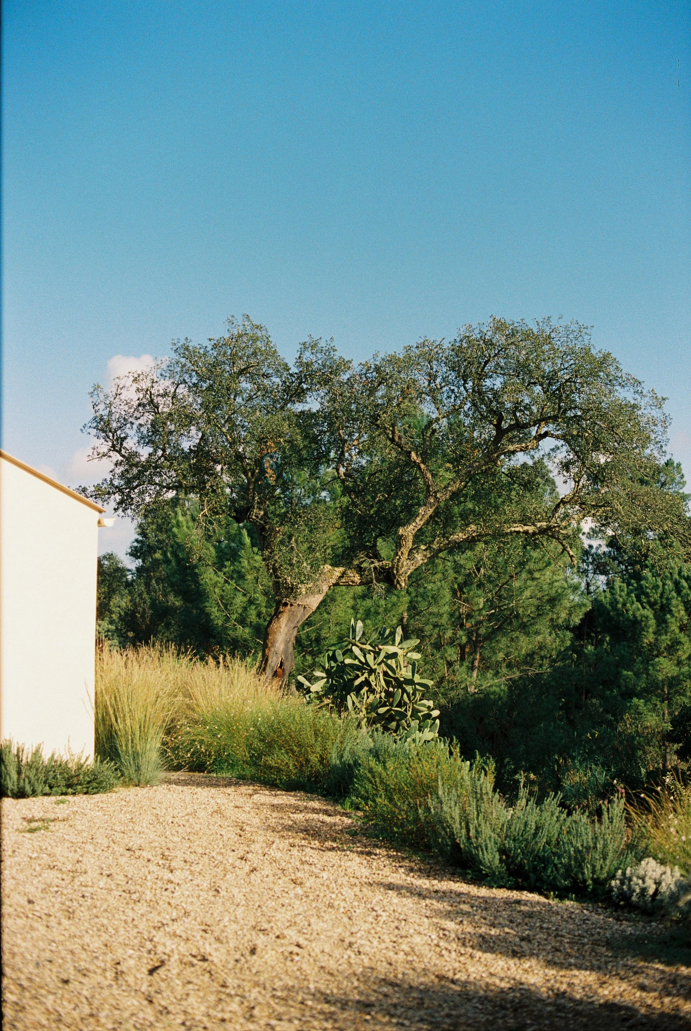 Nastya Dolzhenytsia-67.jpg