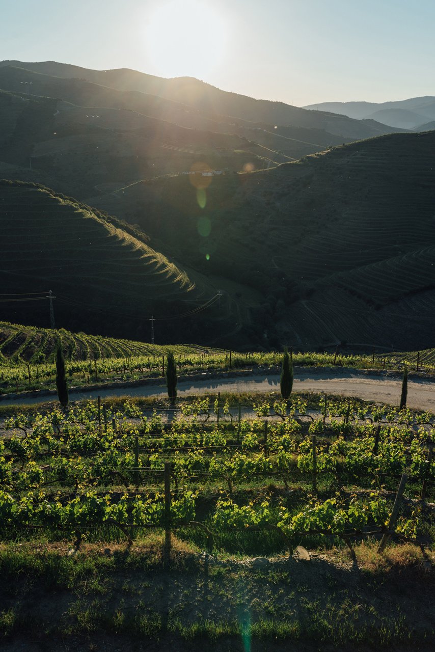 Douro_Maio_web_81.jpg