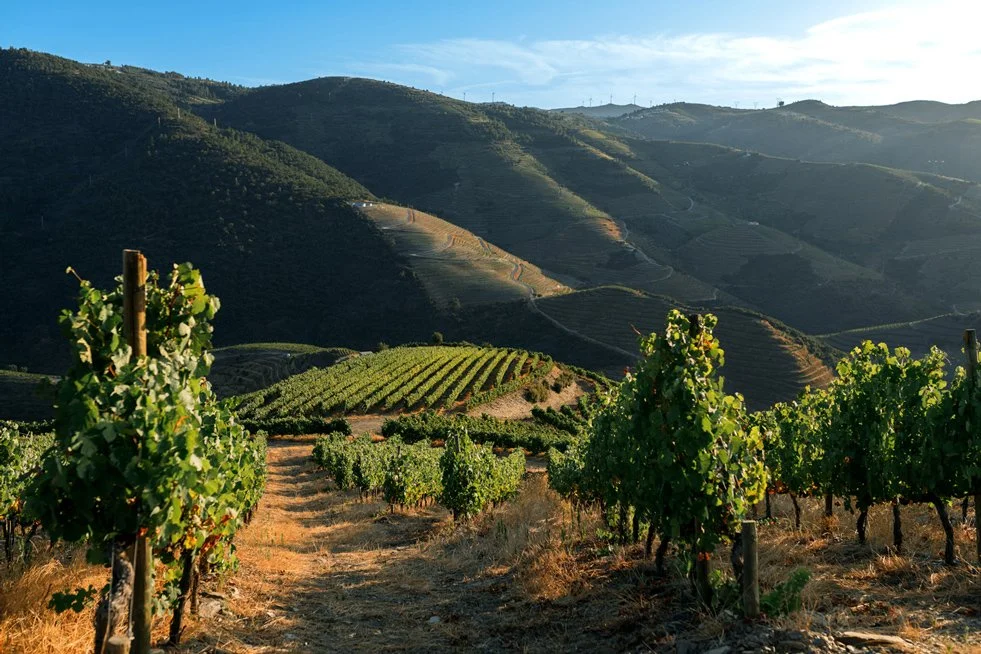 Douro_Julho_web66.jpg