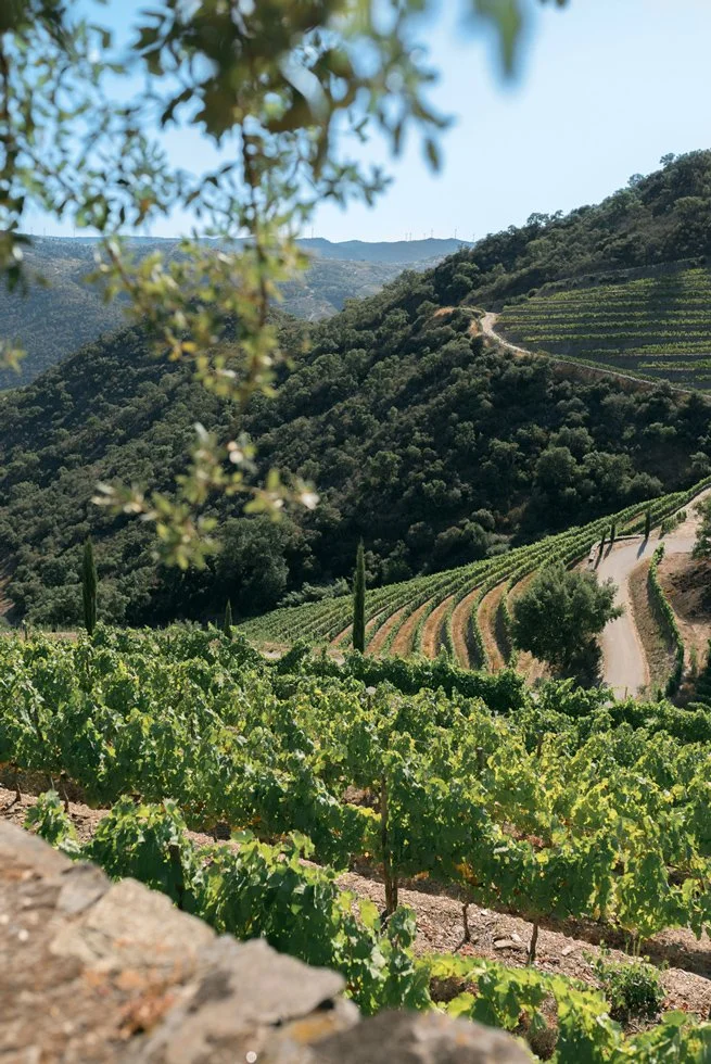 Douro_Julho_web7.jpg