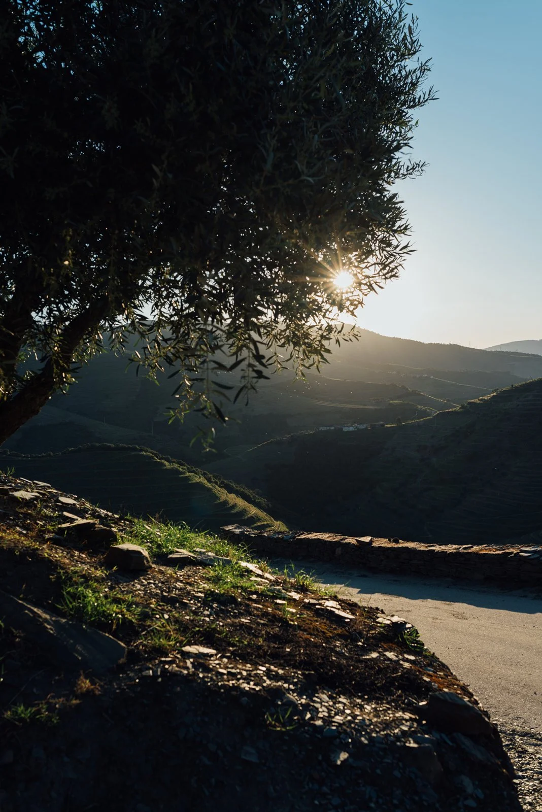 Douro_Maio_web_82.jpg