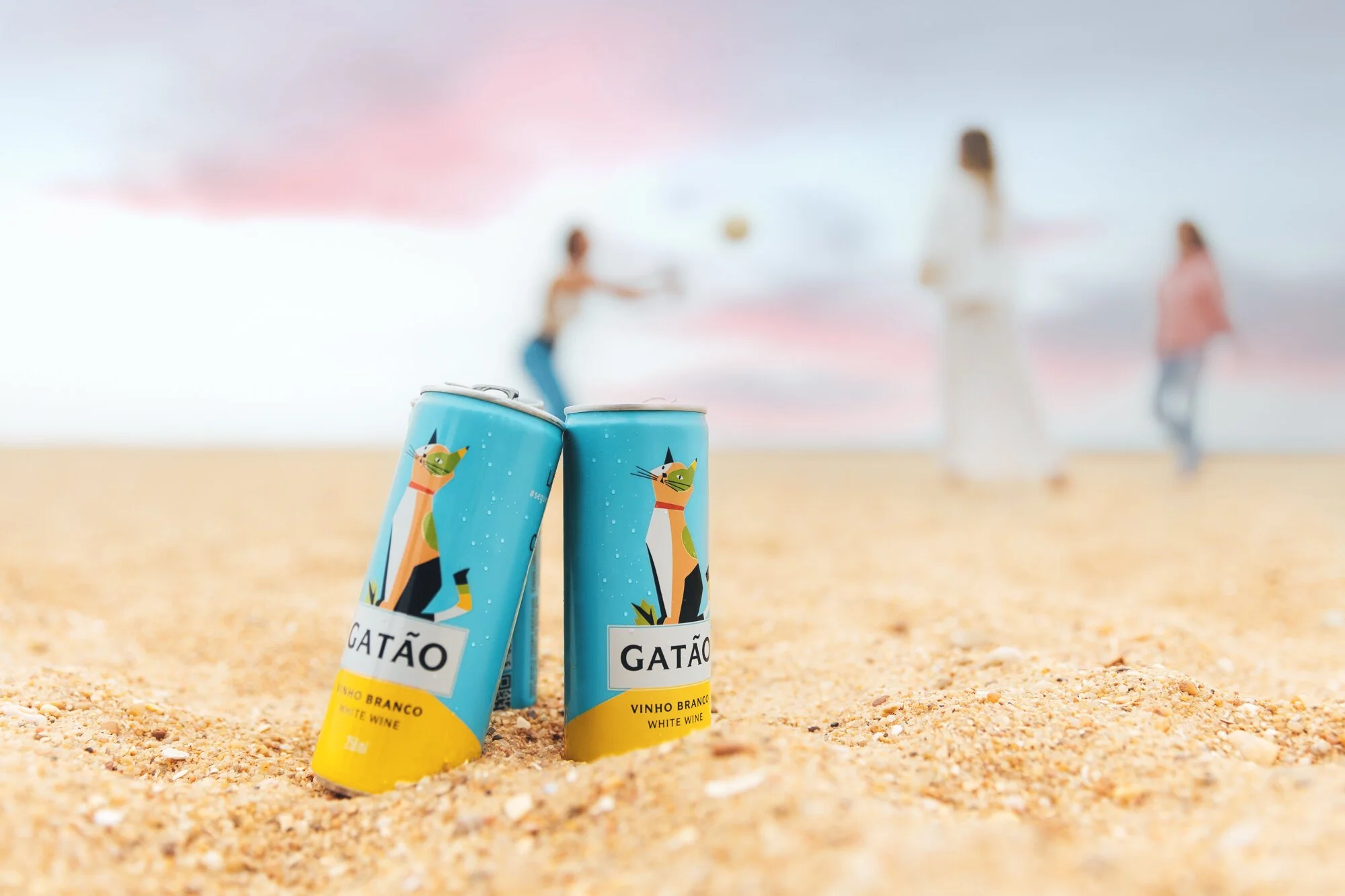 GATÃO EM LATA<p> ﹒ Vídeo ﹒ Fotografia ﹒