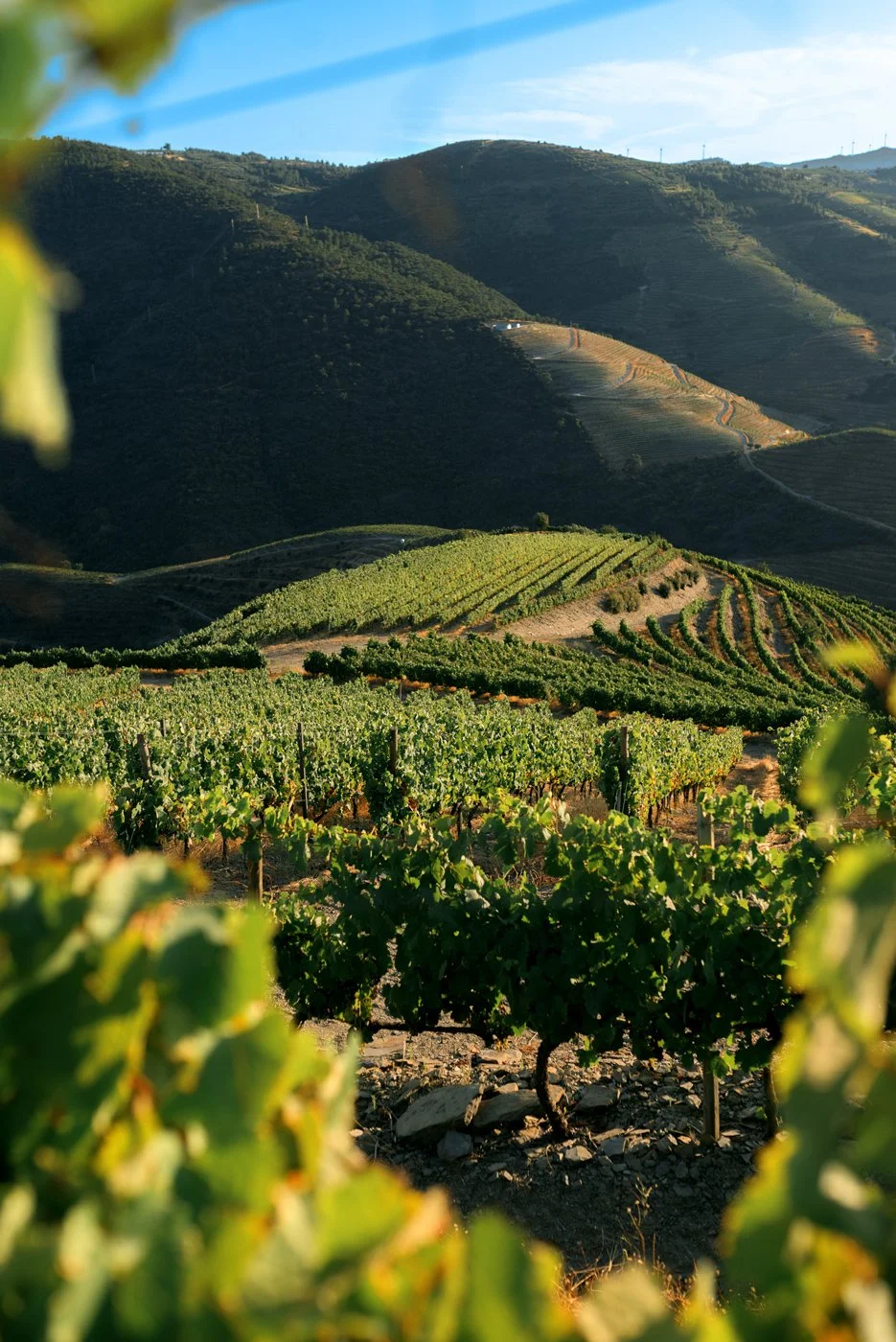 Douro_Julho_web69.jpg