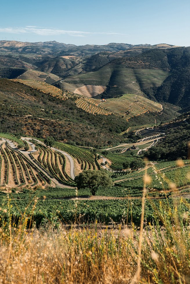 Douro_Julho_web9.jpg