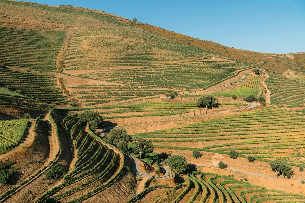 Douro_Julho_web31.jpg