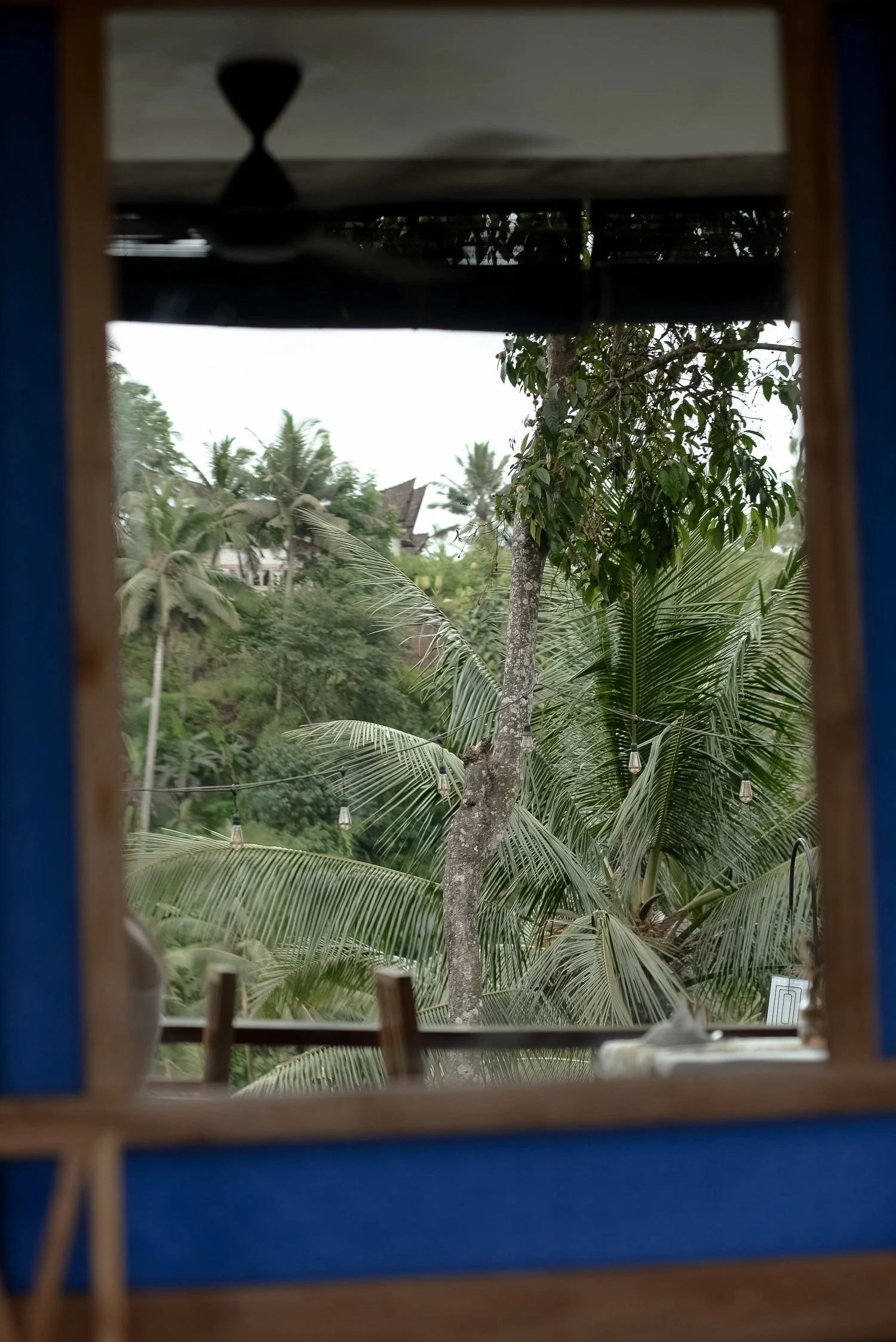 Mirror and palms
