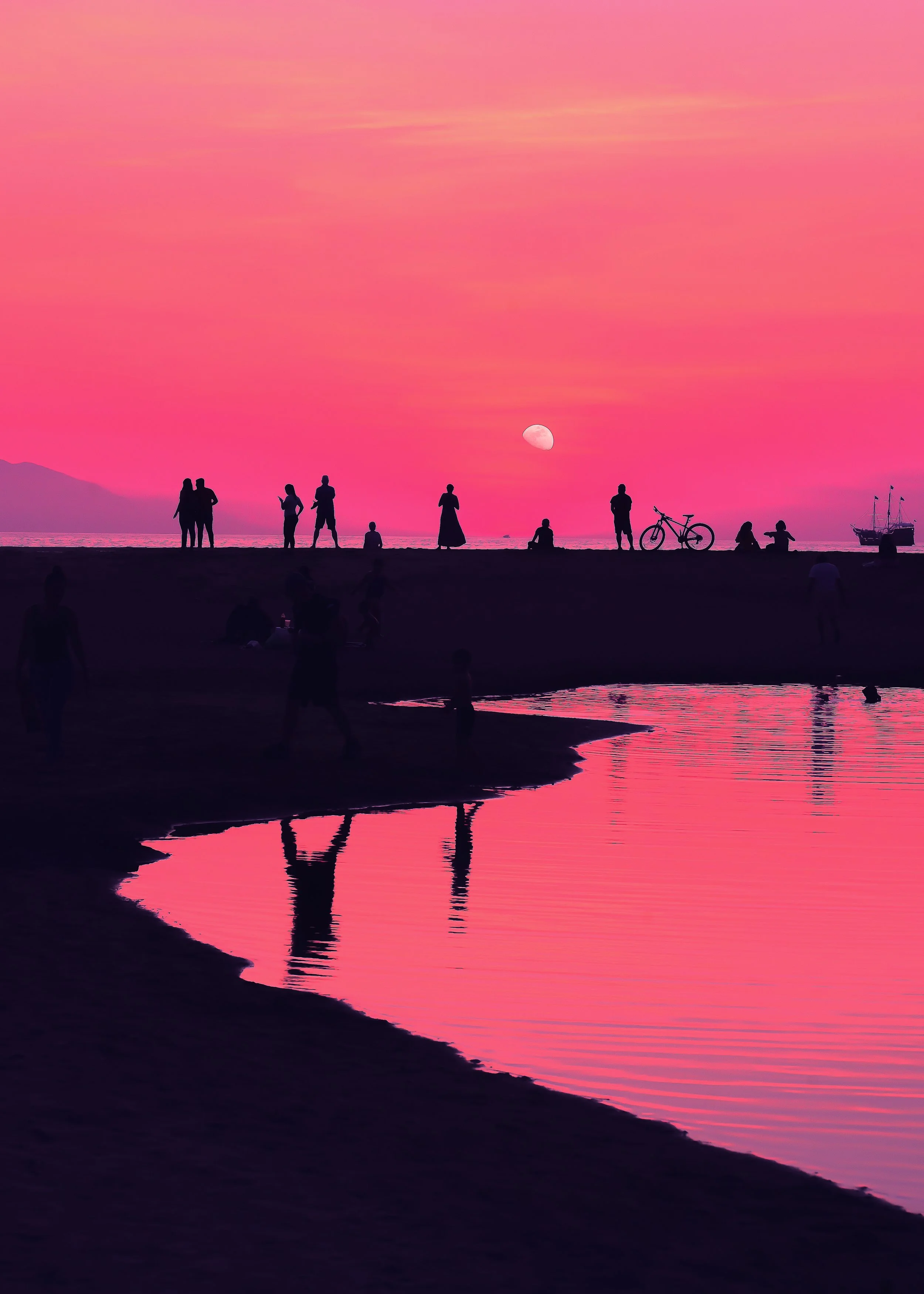 'Pink Moon'