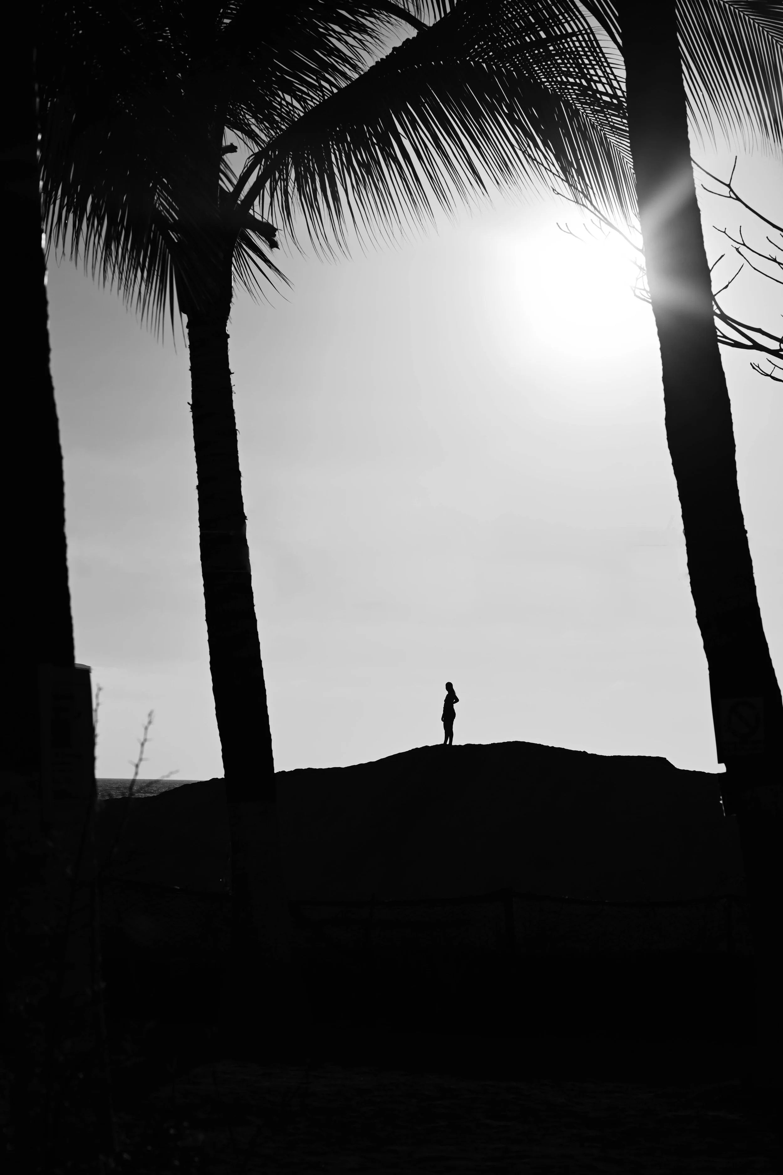 " Home"