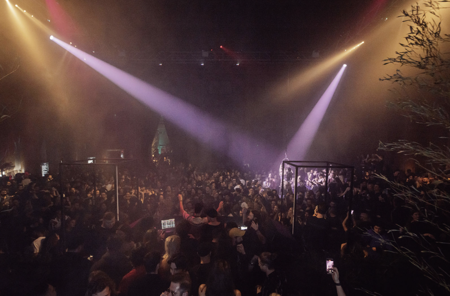 BLACK LOTUS 2 (1).png