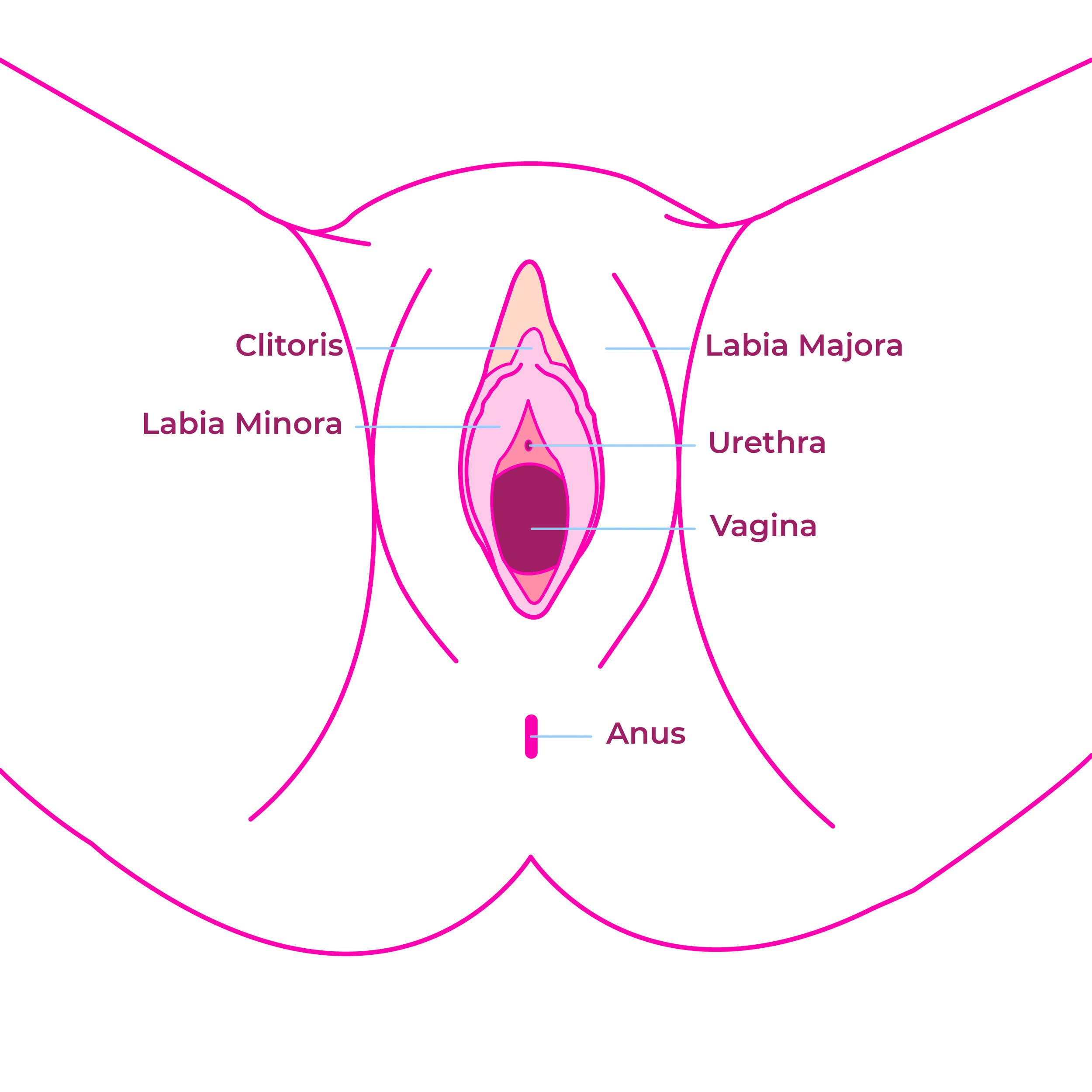 How To Do A Perineal Massage — FemFirstHealth