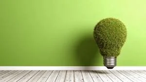 #WorldEnvironmentDay - R&D aiding the pathway to a greener future: