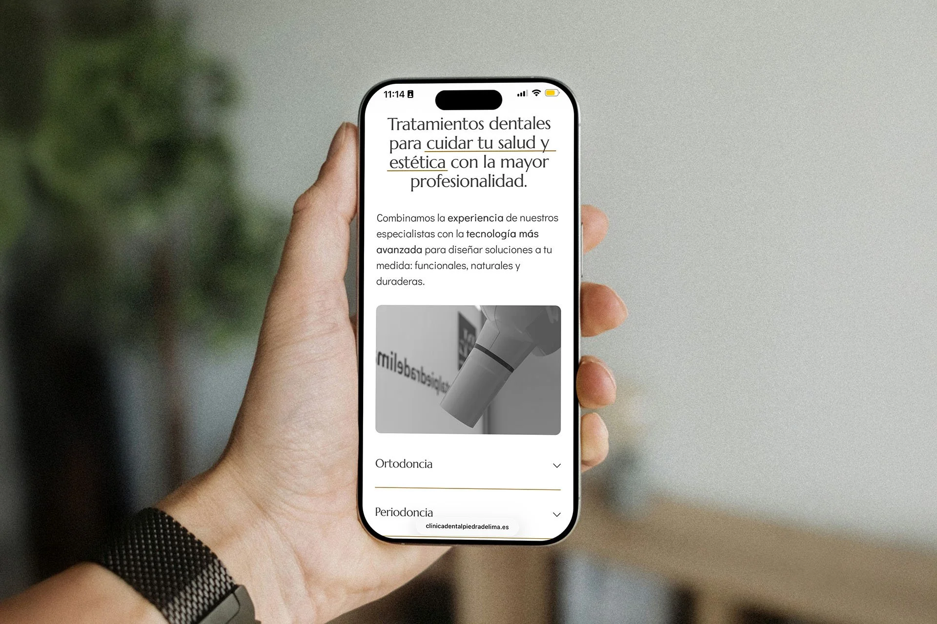 A male hand holding an iPhone showcasing the dental services included in a dental clinic's website