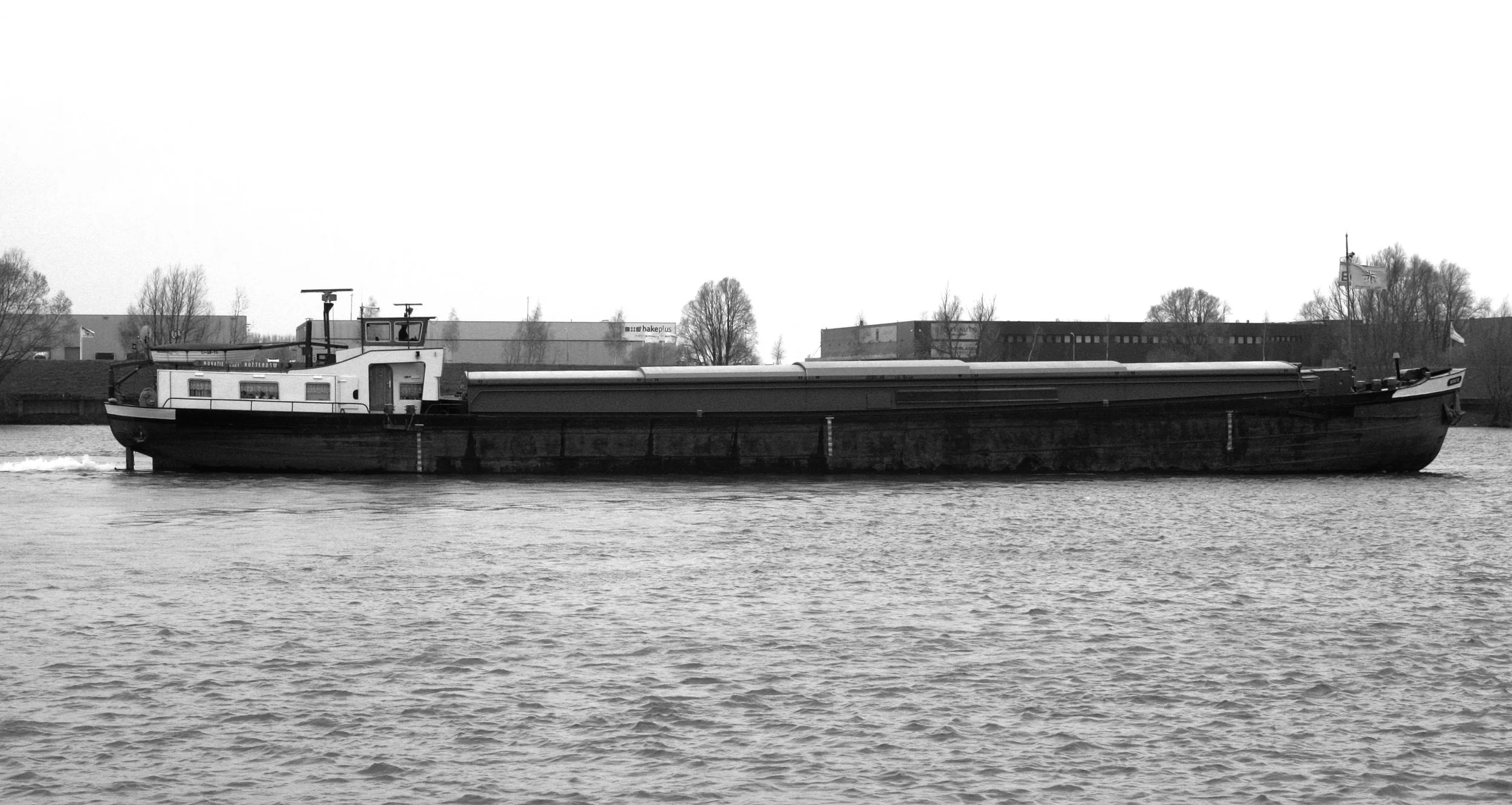 IMG_0145bw.jpg