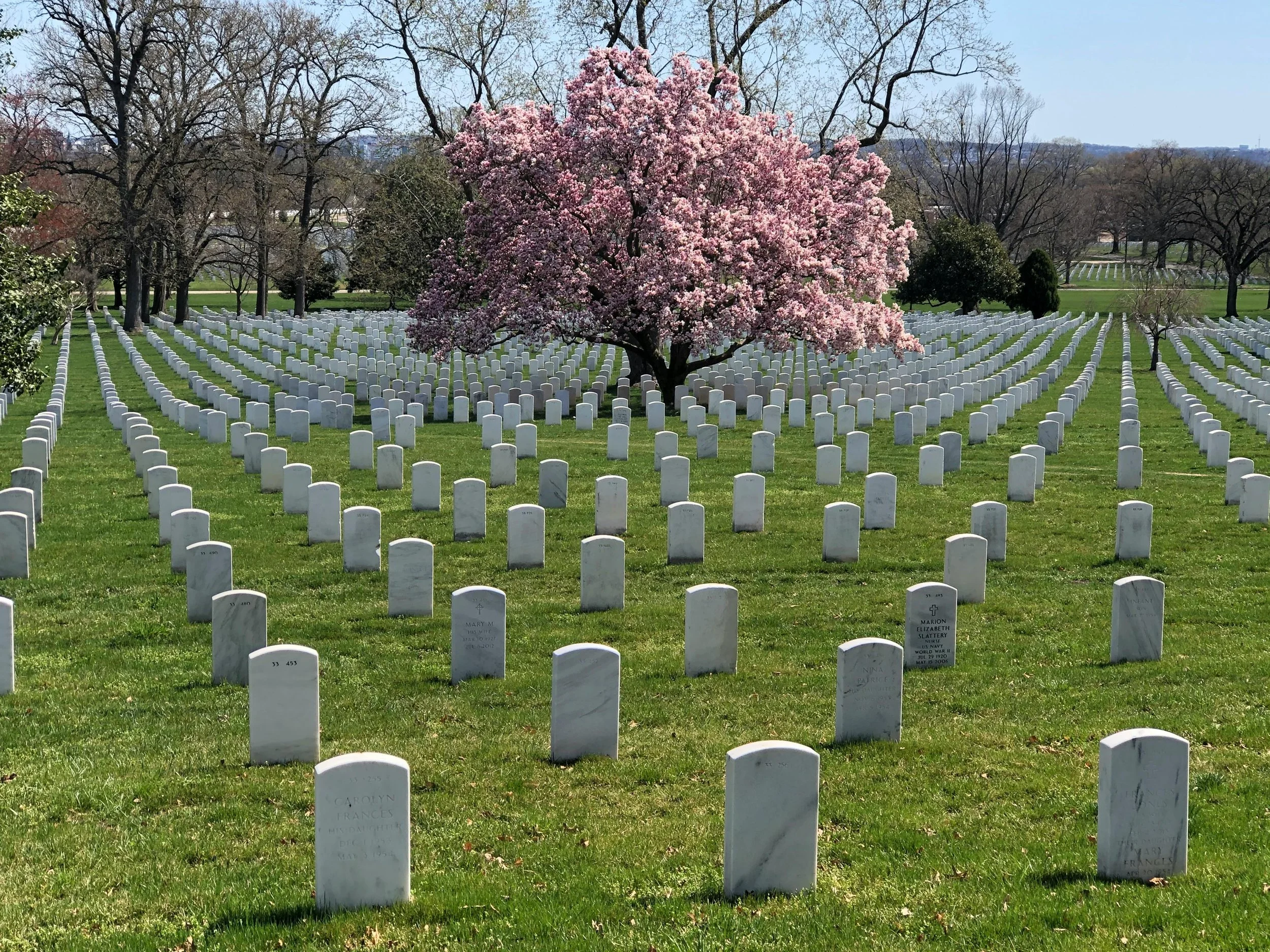 Memorial Day