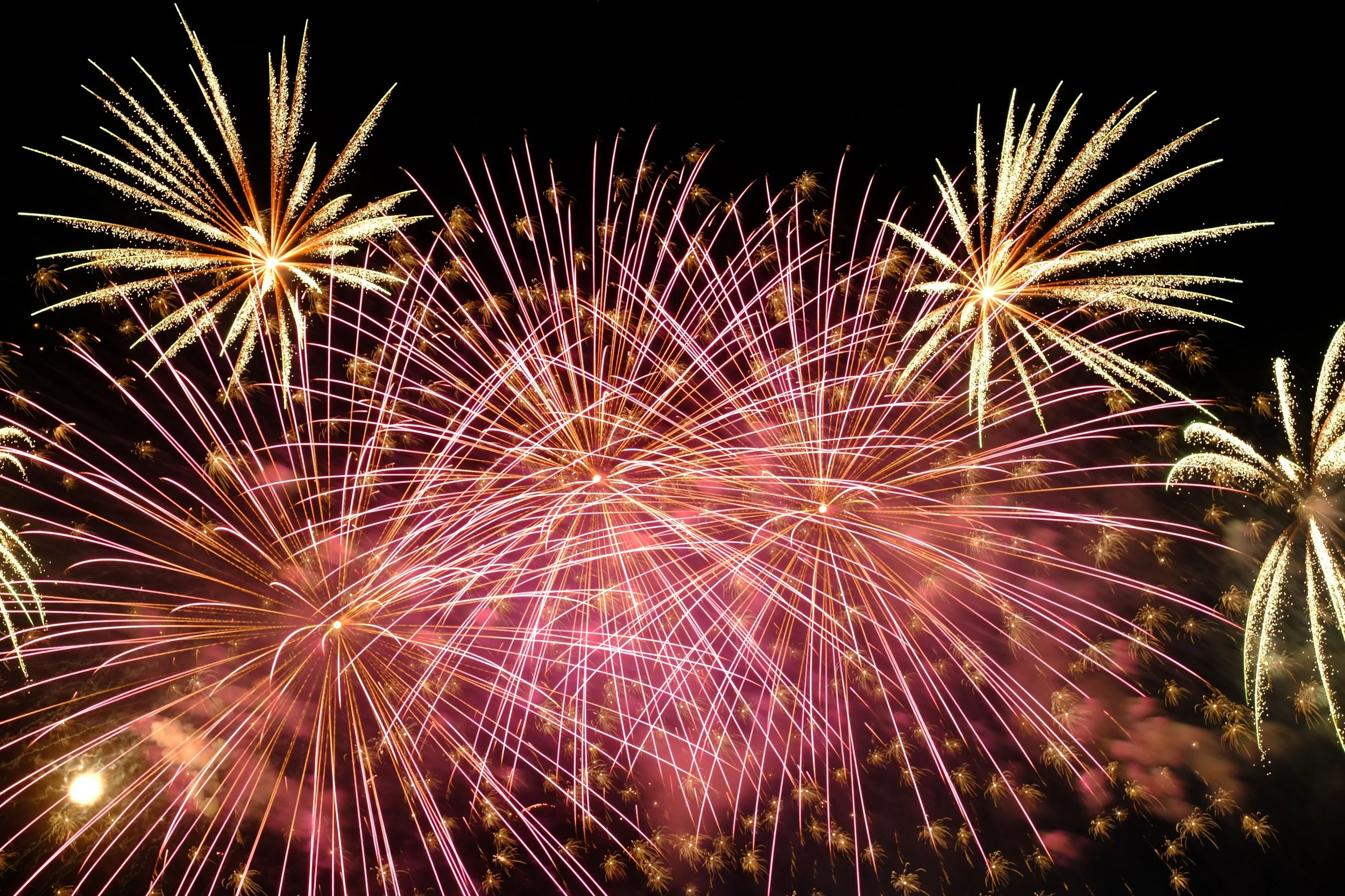Protect your pets from fireworks 