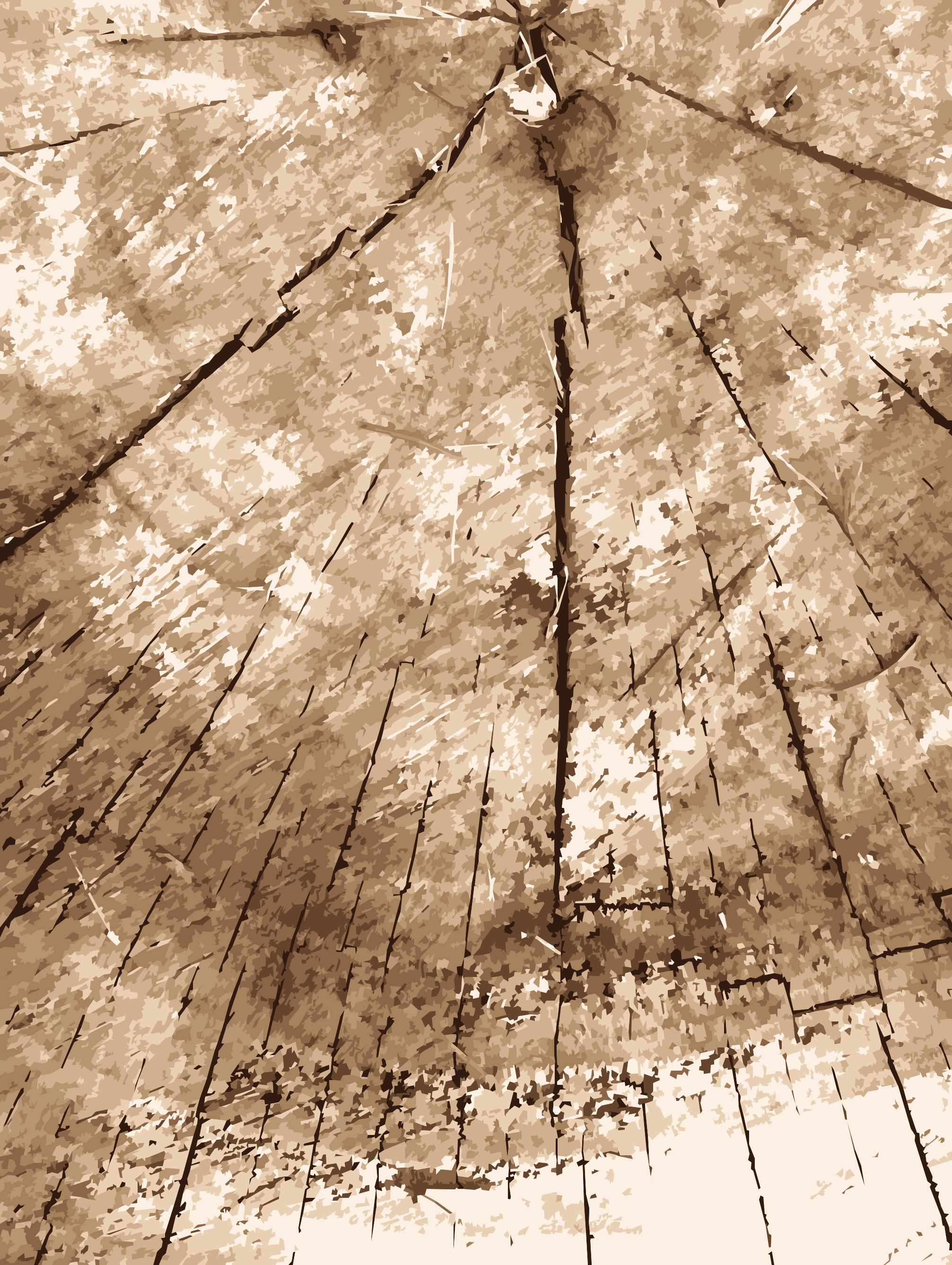 STUMP