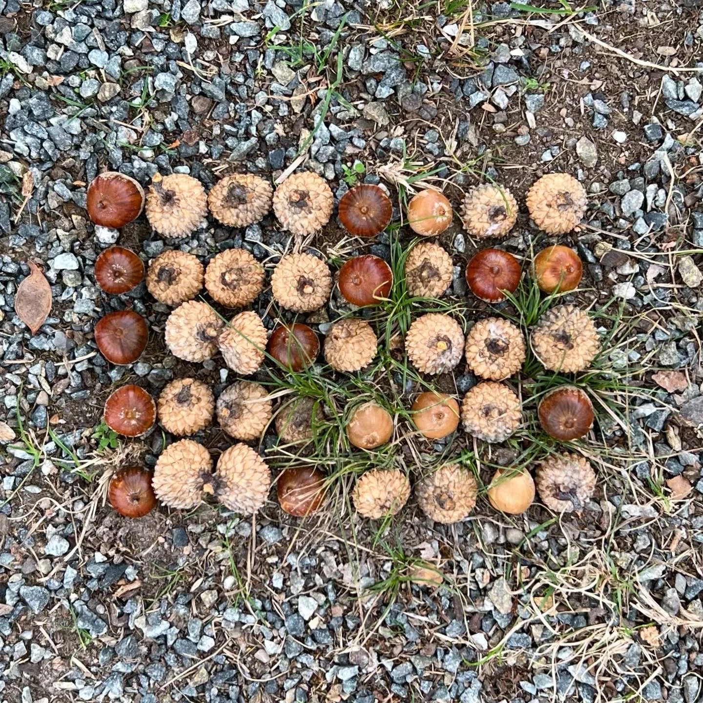 Analog Binary Code: “storm” (October 28, 2023)