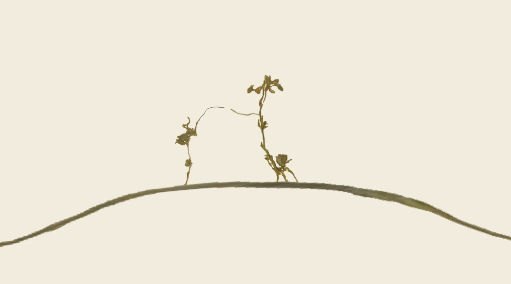 aurèce vettier: The Making of a Lifelong Narrative