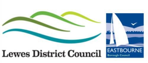 Lewes-district-council.jpg