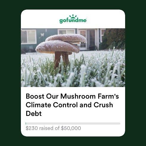 Link in Bio.  Hey friends! I&rsquo;m excited to upgrade my mushroom&rsquo;s air conditioning system to keep it happy and healthy. As a small business owner, I&rsquo;m working hard to make sure my mushroom thrives, and a new AC will help me stay focus