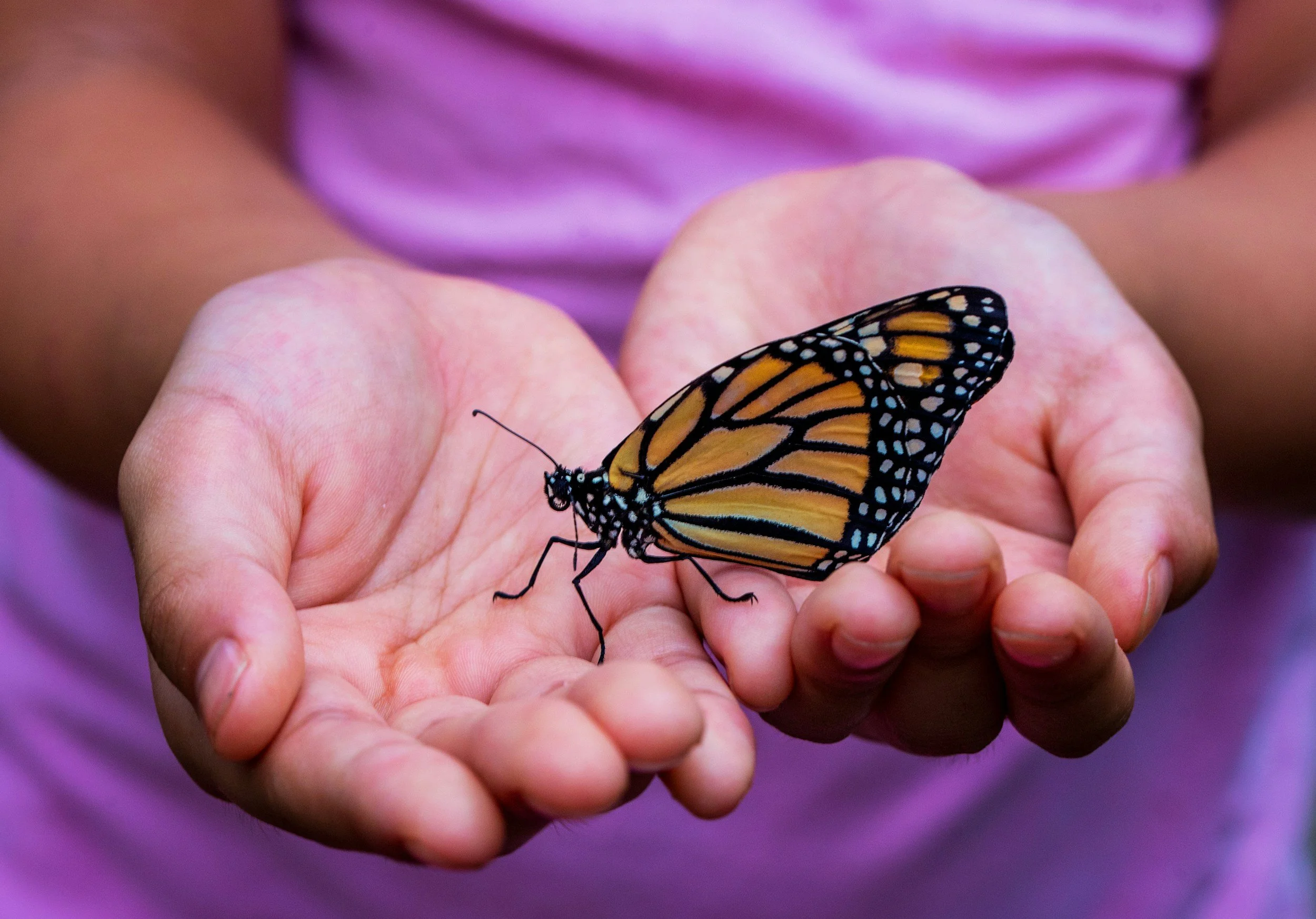 What I Wish I Knew About Missed Miscarriage: Healing, Grief and Hope at 45