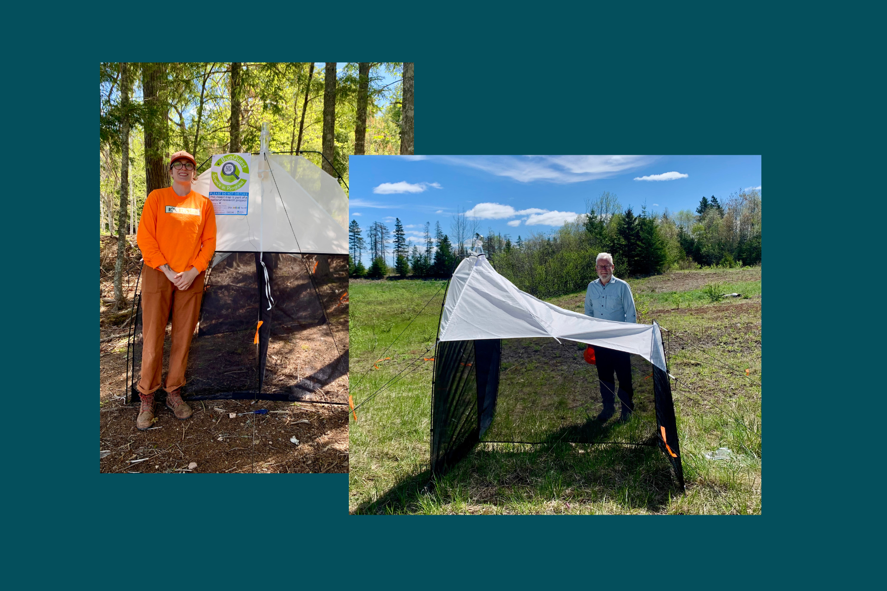 BugQuest Canada at the Keppoch