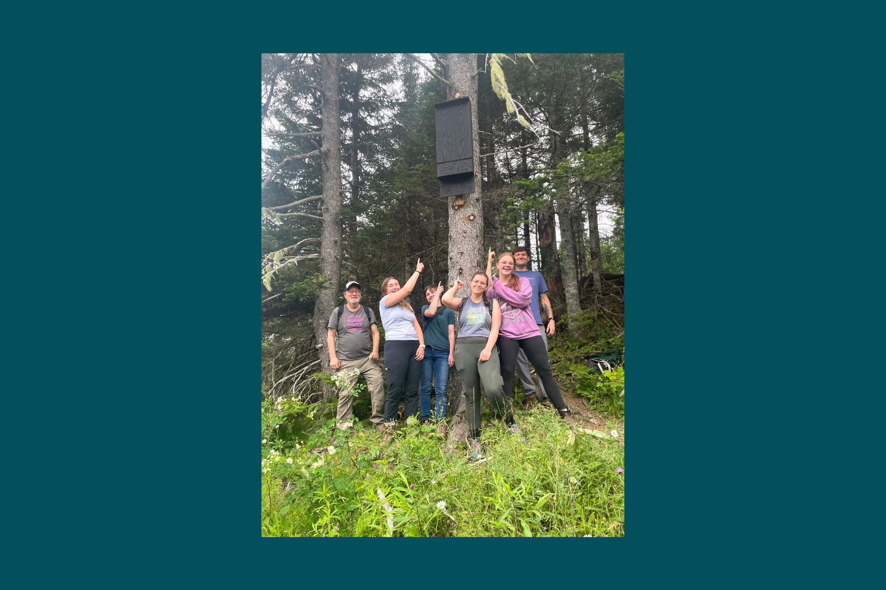 A New Home for Bats at the Keppoch