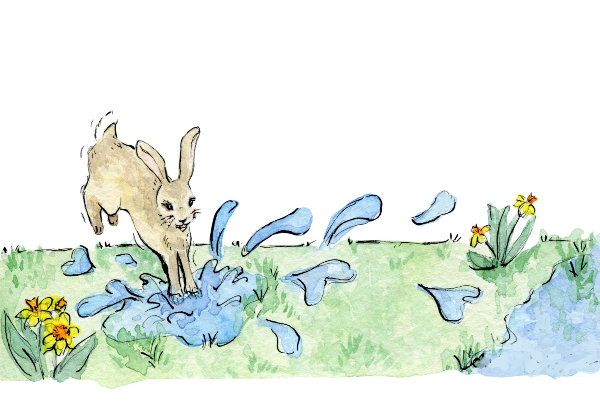puddlejumpinbunny.jpg