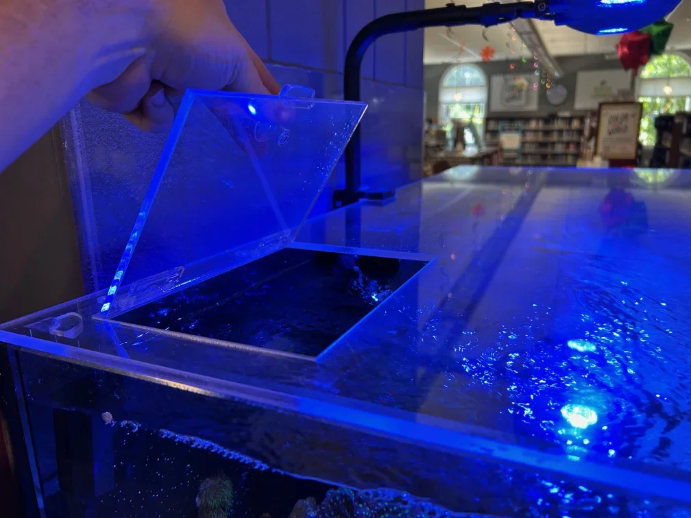 The hinged door allows for easy feeding