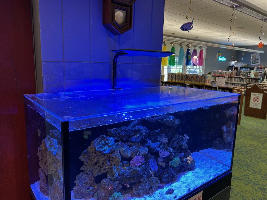 The new lid sitting on the fish tank looks very nice