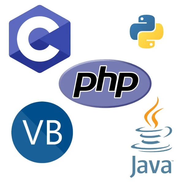 Some of the programming languages we are proficient in, including C, PHP, Java, Python, and Visual BASIC.