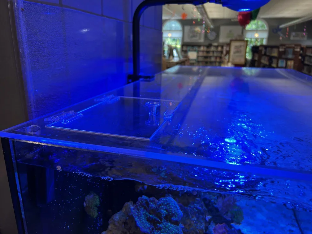 With clear hinges and a clear knob, the door blends in very well with the rest of the lid