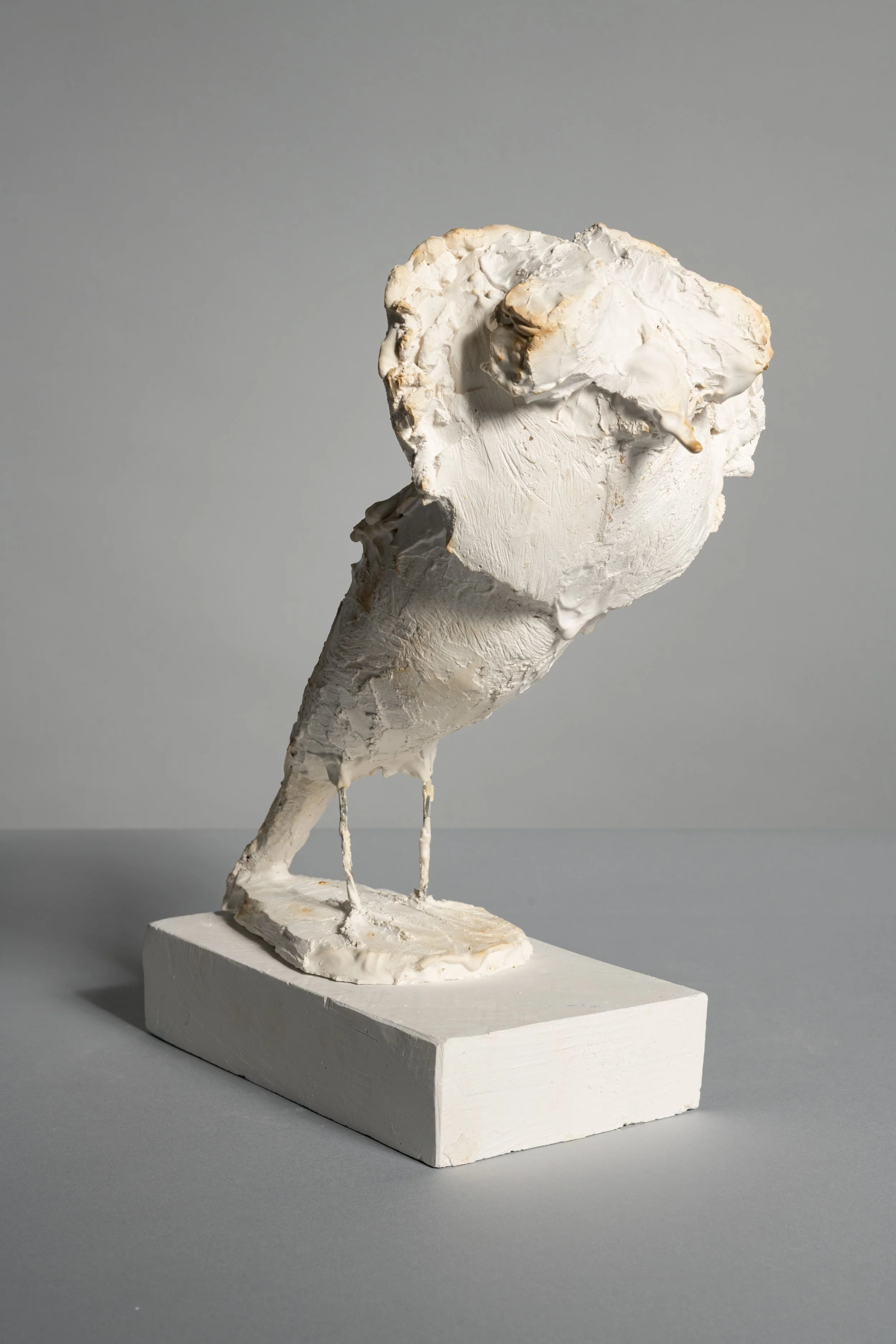 MATERIALMATTERS - Fotografie / Robert Vanis