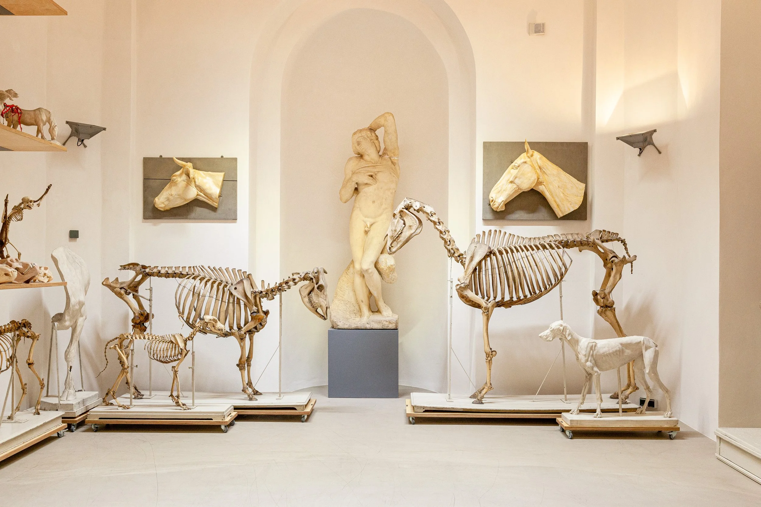 MATERIALMATTERS - Fotografie / Robert Vanis