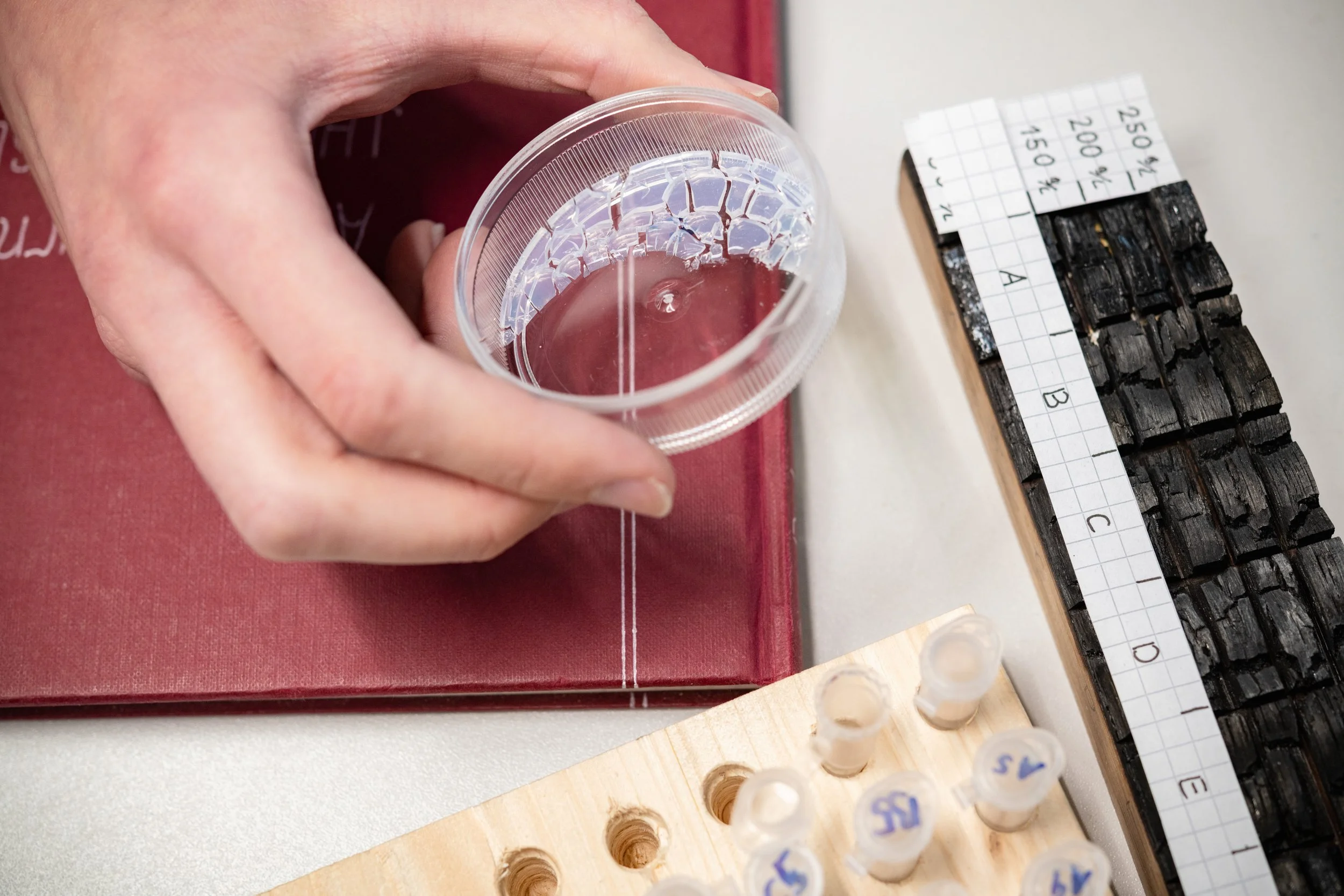 MATERIALMATTERS - Fotografie / Robert Vanis