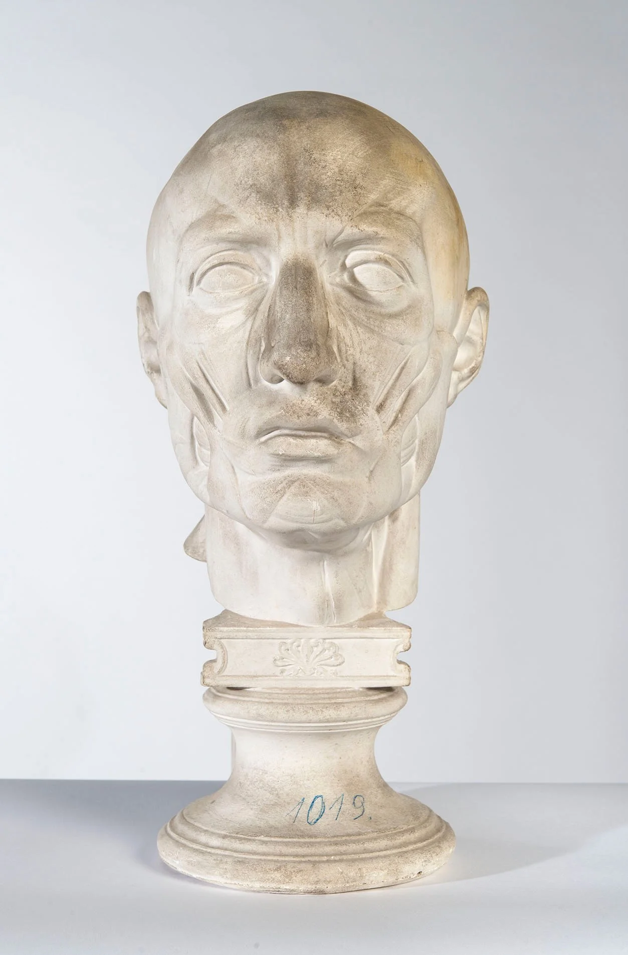 Objektansichten: Mark Dion - Die Akademie der Dinge im Oktogon, Hochschule für Bildende Künste Dresden, Foto: MATERIALMATTERS / Robert Vanis